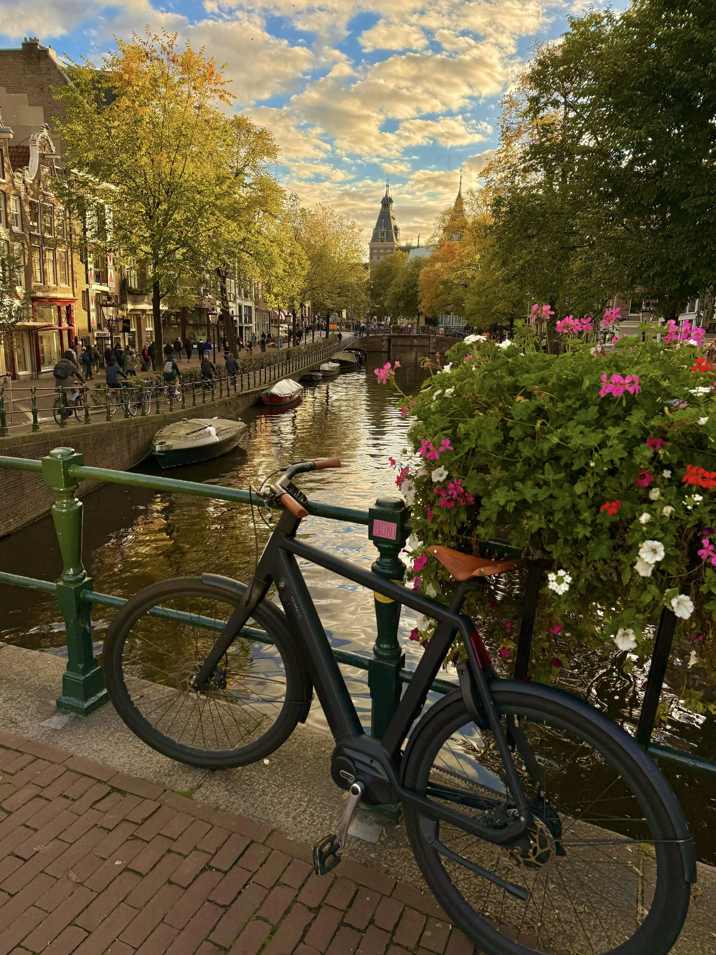 eZy Watermark_23-01-2026_11-37-30-9010AM.jpg