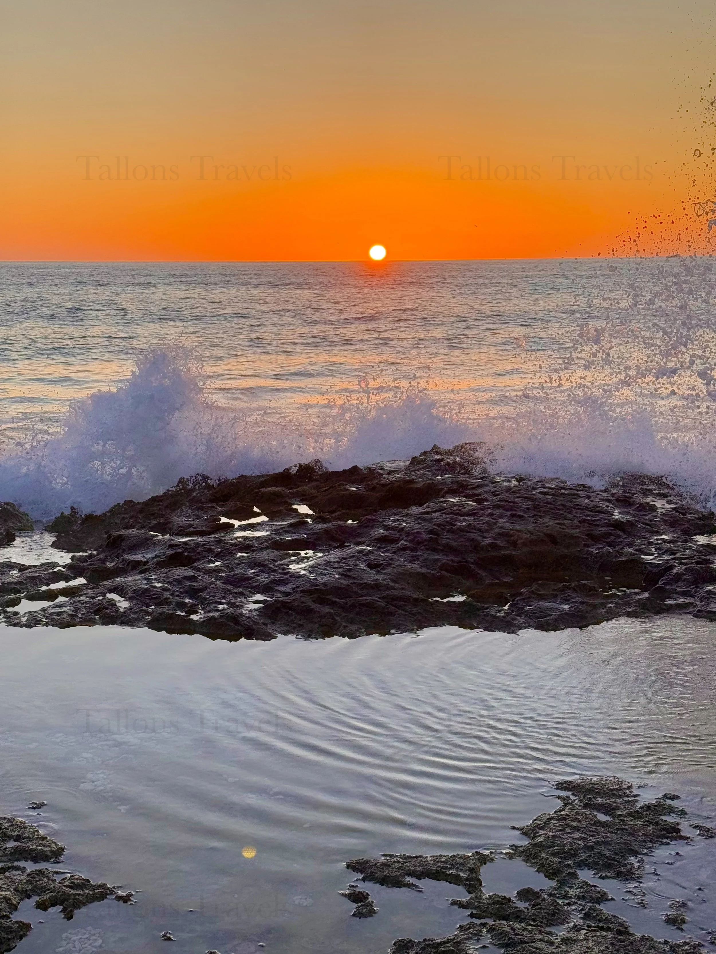 eZy Watermark_23-01-2026_10-21-00-0670PM.jpg