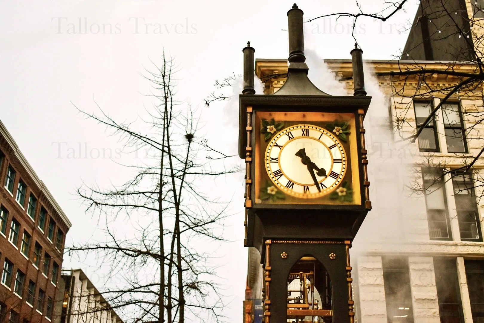 eZy Watermark_25-01-2026_03-28-13-8750PM.JPG