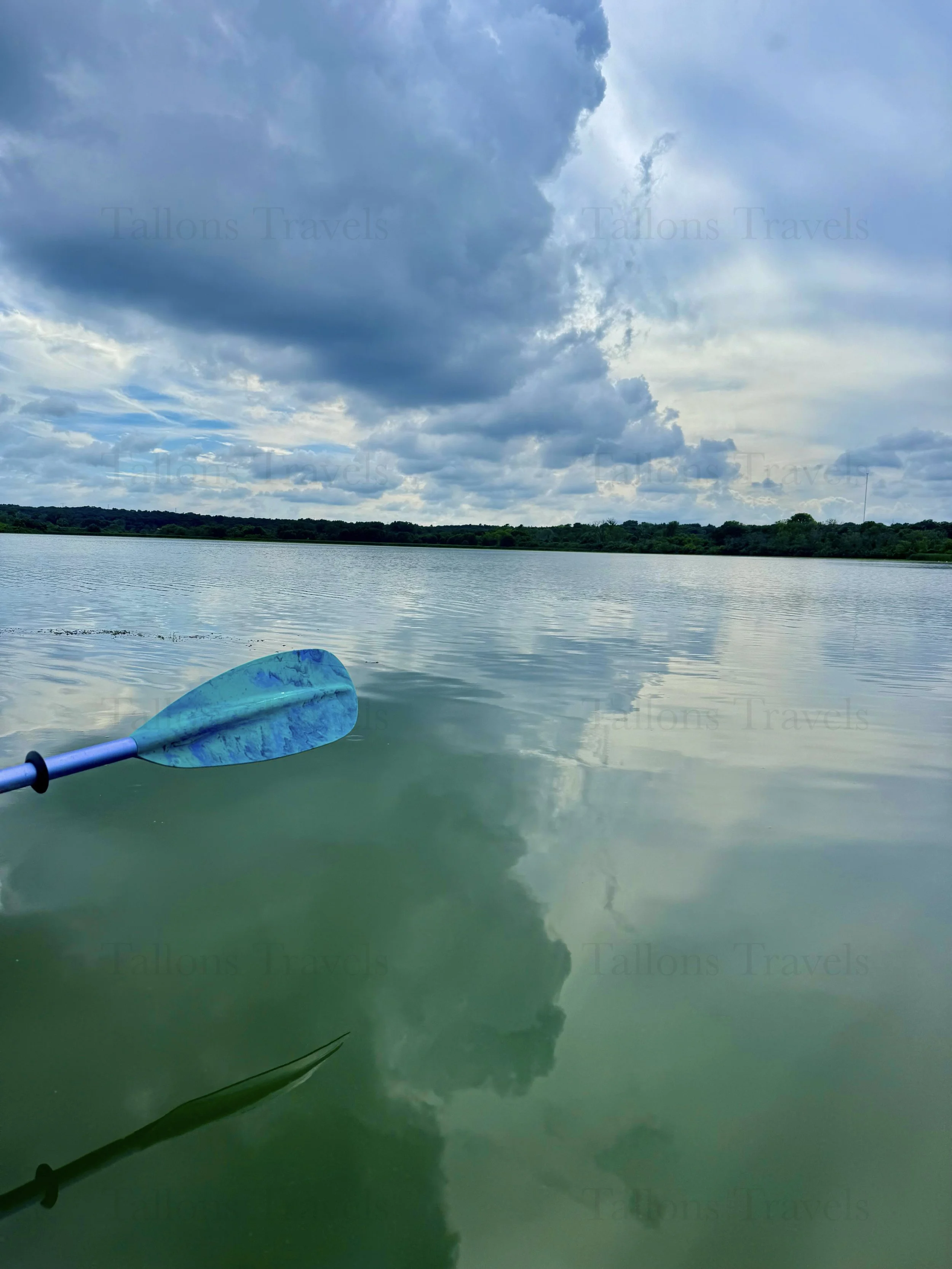 eZy Watermark_23-01-2026_10-38-30-8120PM.jpg