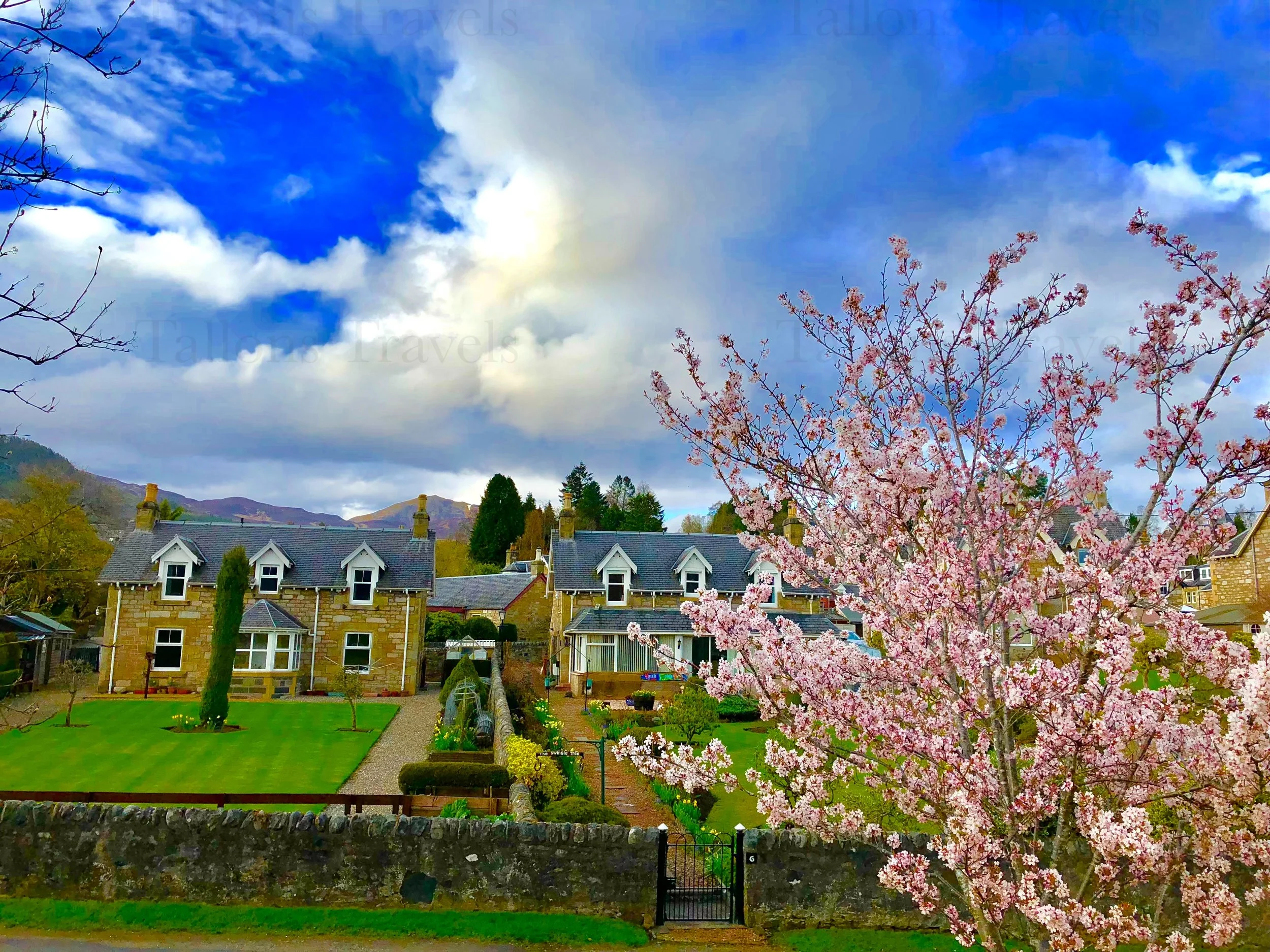 eZy Watermark_27-01-2026_09-47-28-6330PM.jpg