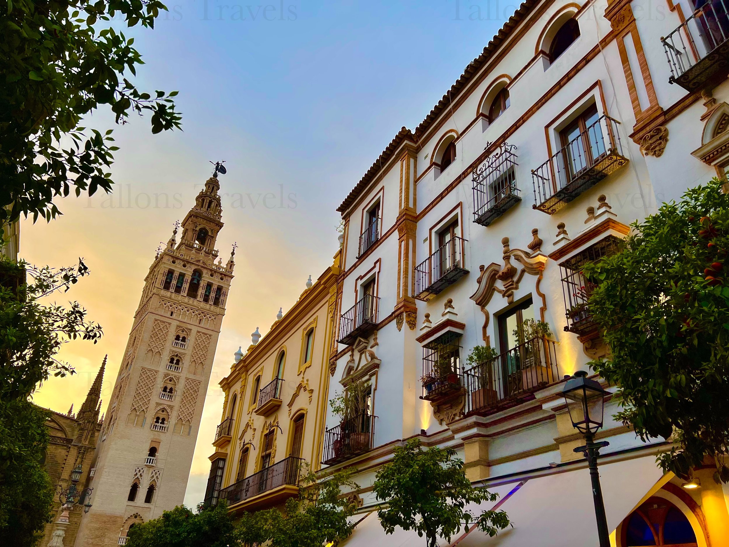 eZy Watermark_27-01-2026_09-22-14-2130PM.jpg