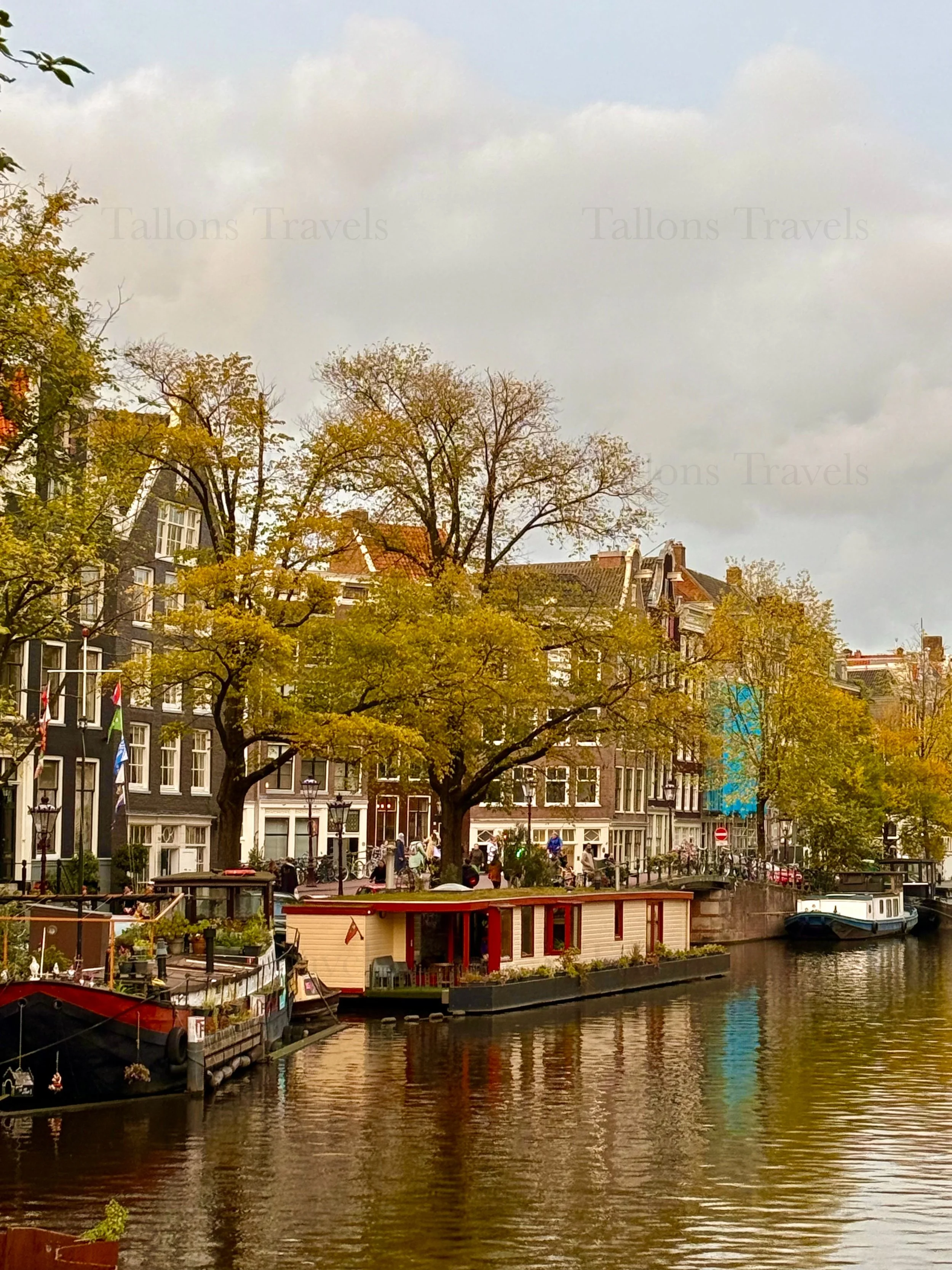 eZy Watermark_23-01-2026_11-38-52-1420AM.jpg