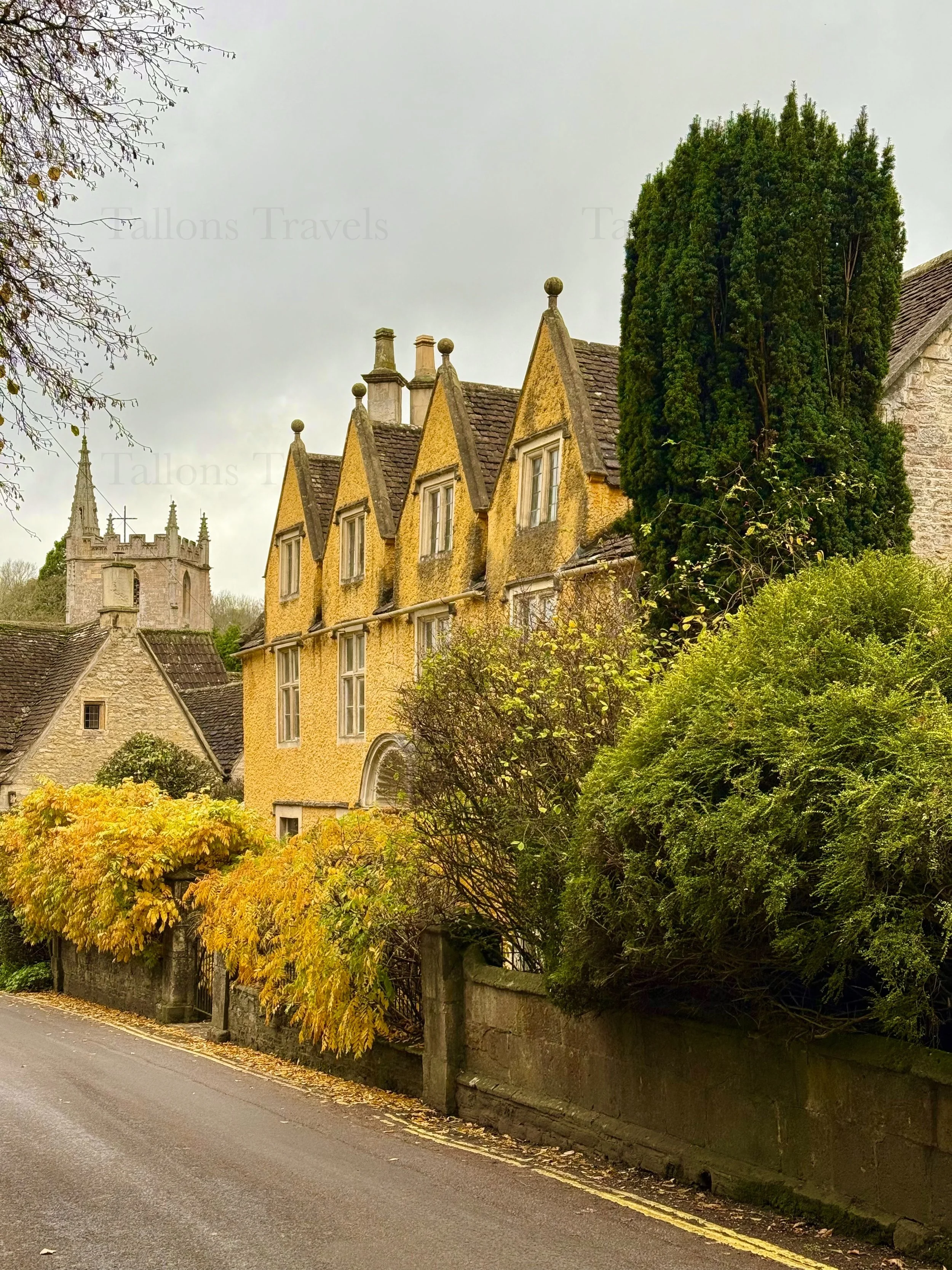 eZy Watermark_23-01-2026_11-27-10-6490AM.jpeg