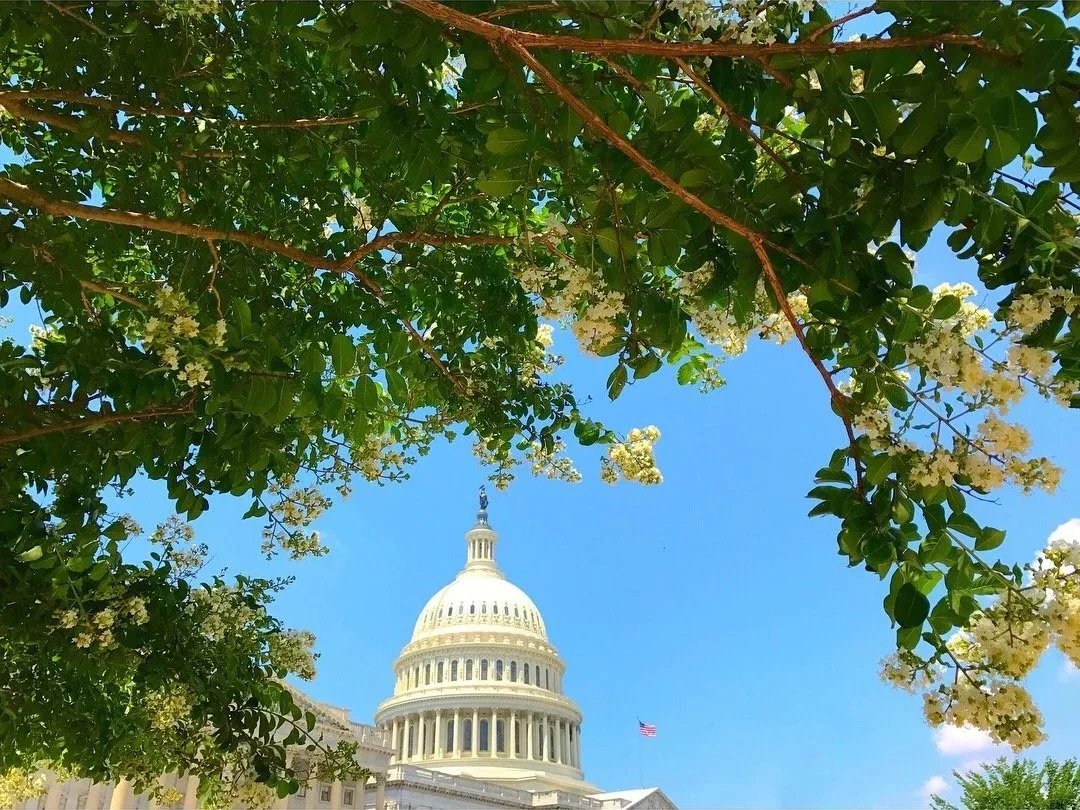 A Monumental Weekend in Washington DC