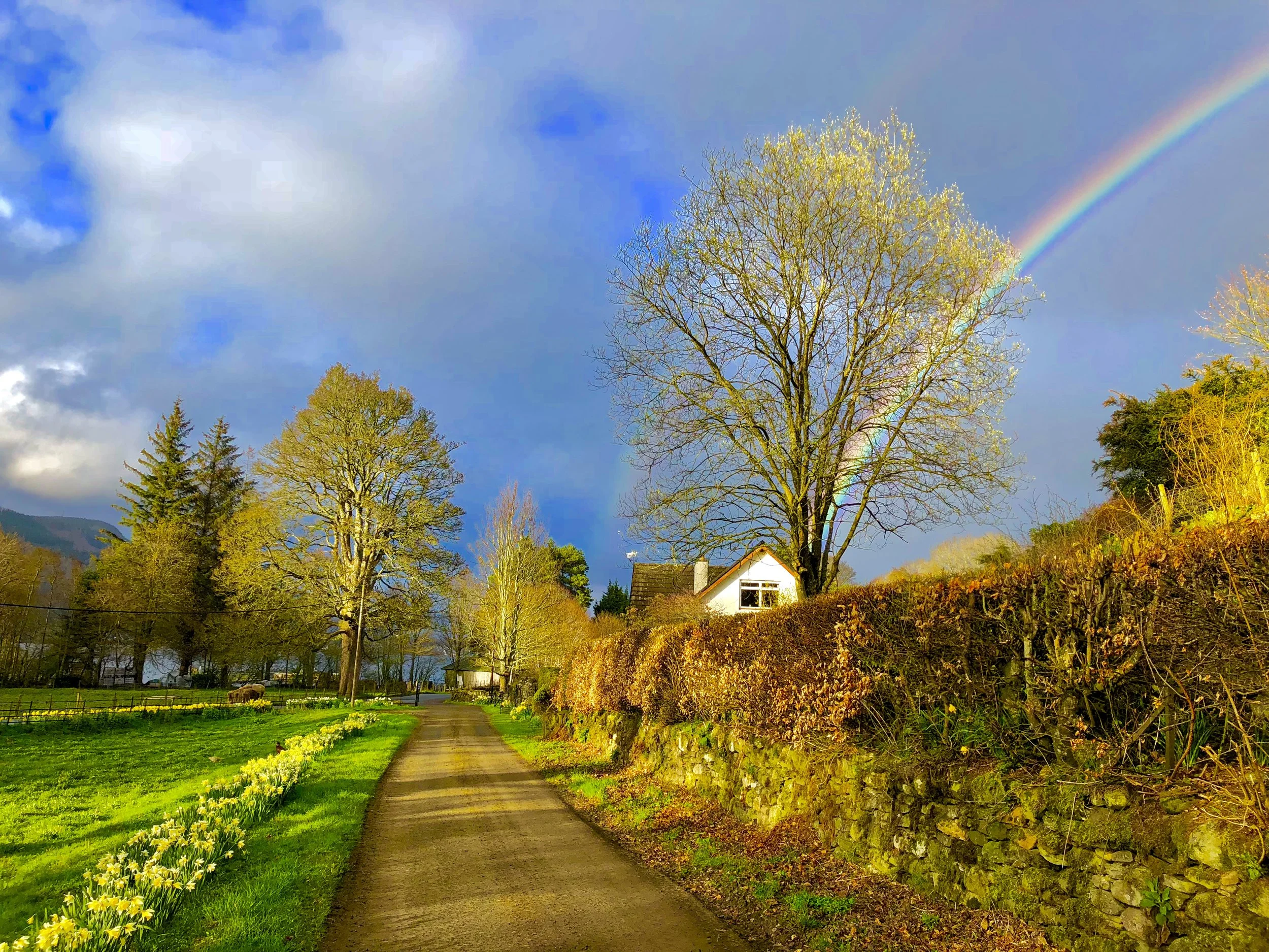 Feeling Lucky in Ireland