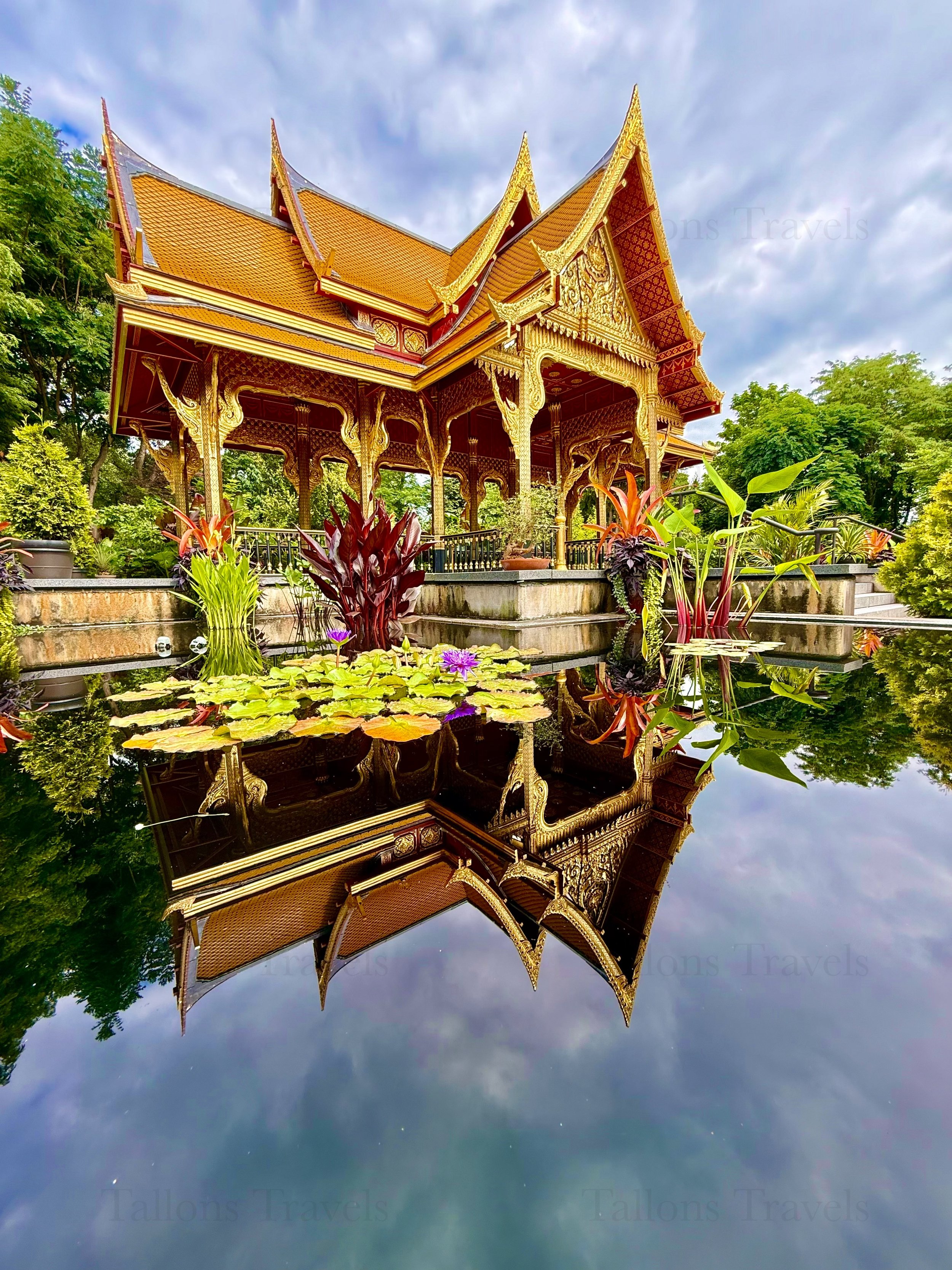 eZy Watermark_23-01-2026_10-39-27-2990PM.jpg