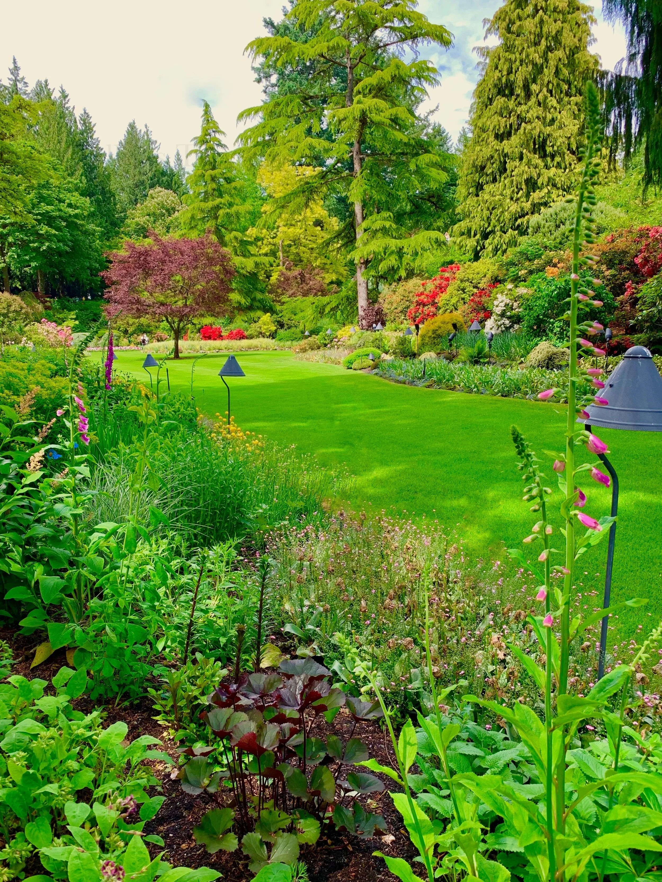 eZy Watermark_27-01-2026_09-11-08-6100PM.jpg