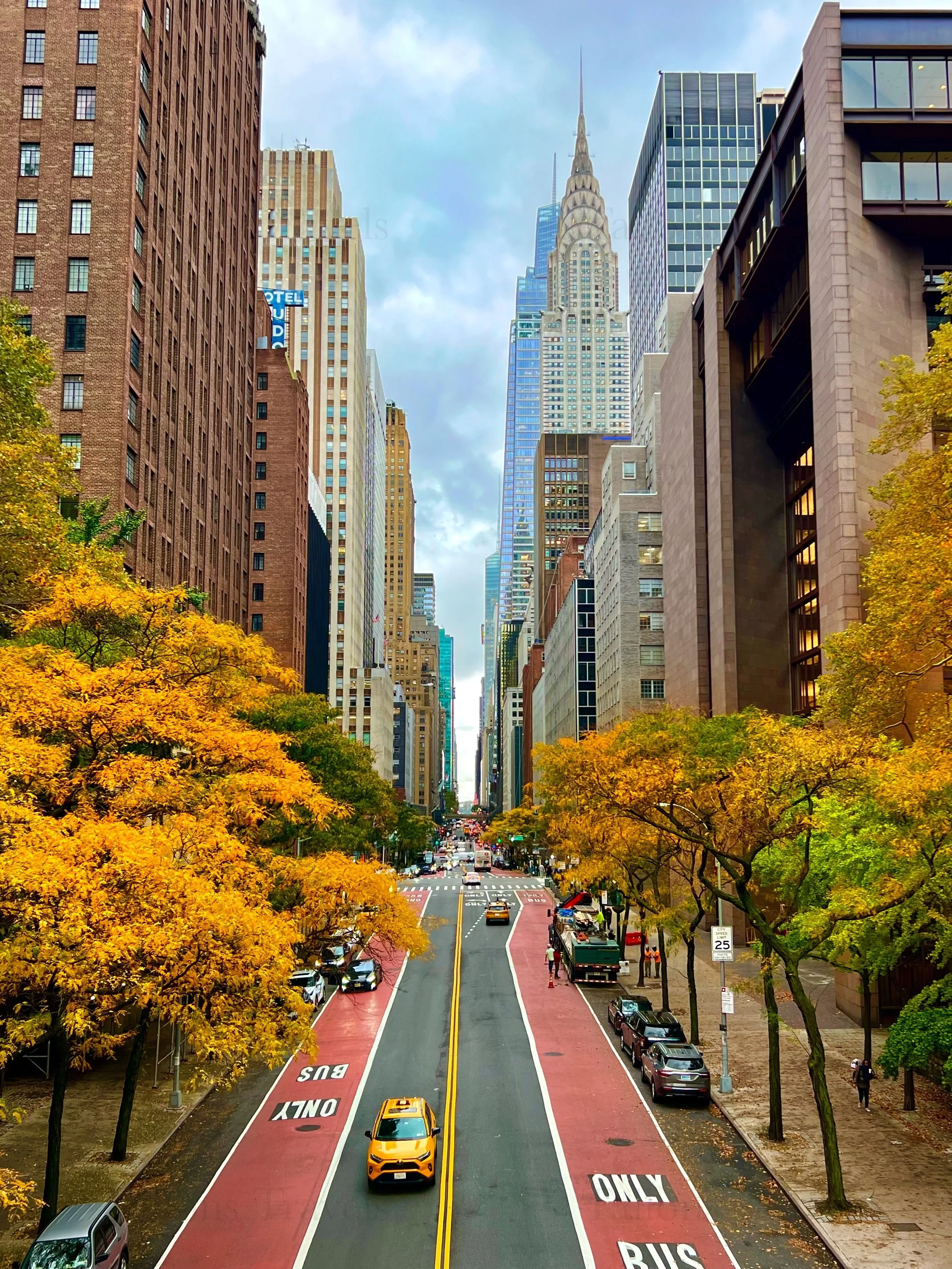 eZy Watermark_23-01-2026_11-19-31-8870PM.jpg