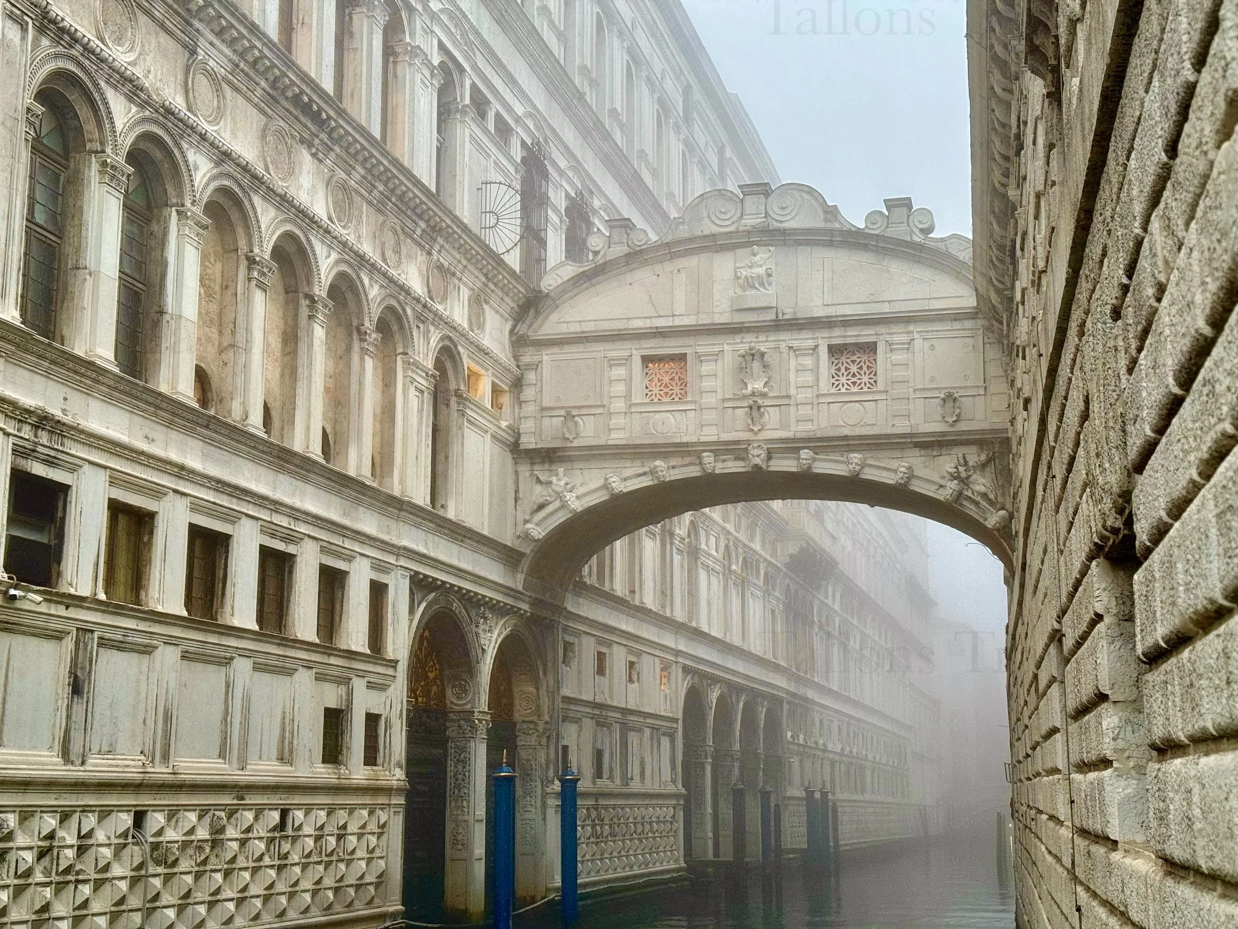 eZy Watermark_04-03-2026_06-29-58-2350PM.jpg