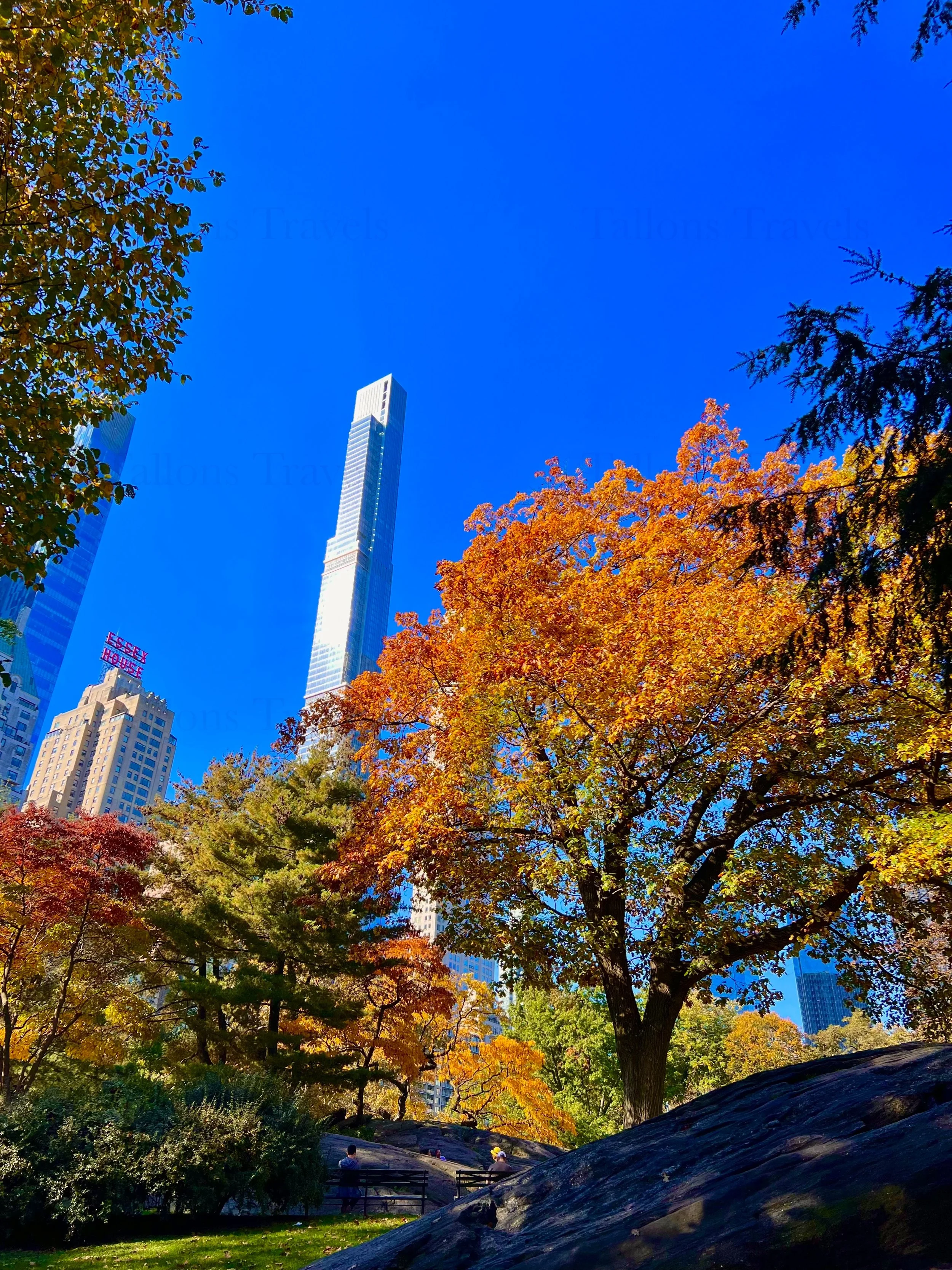 eZy Watermark_23-01-2026_11-20-19-7200PM.jpg