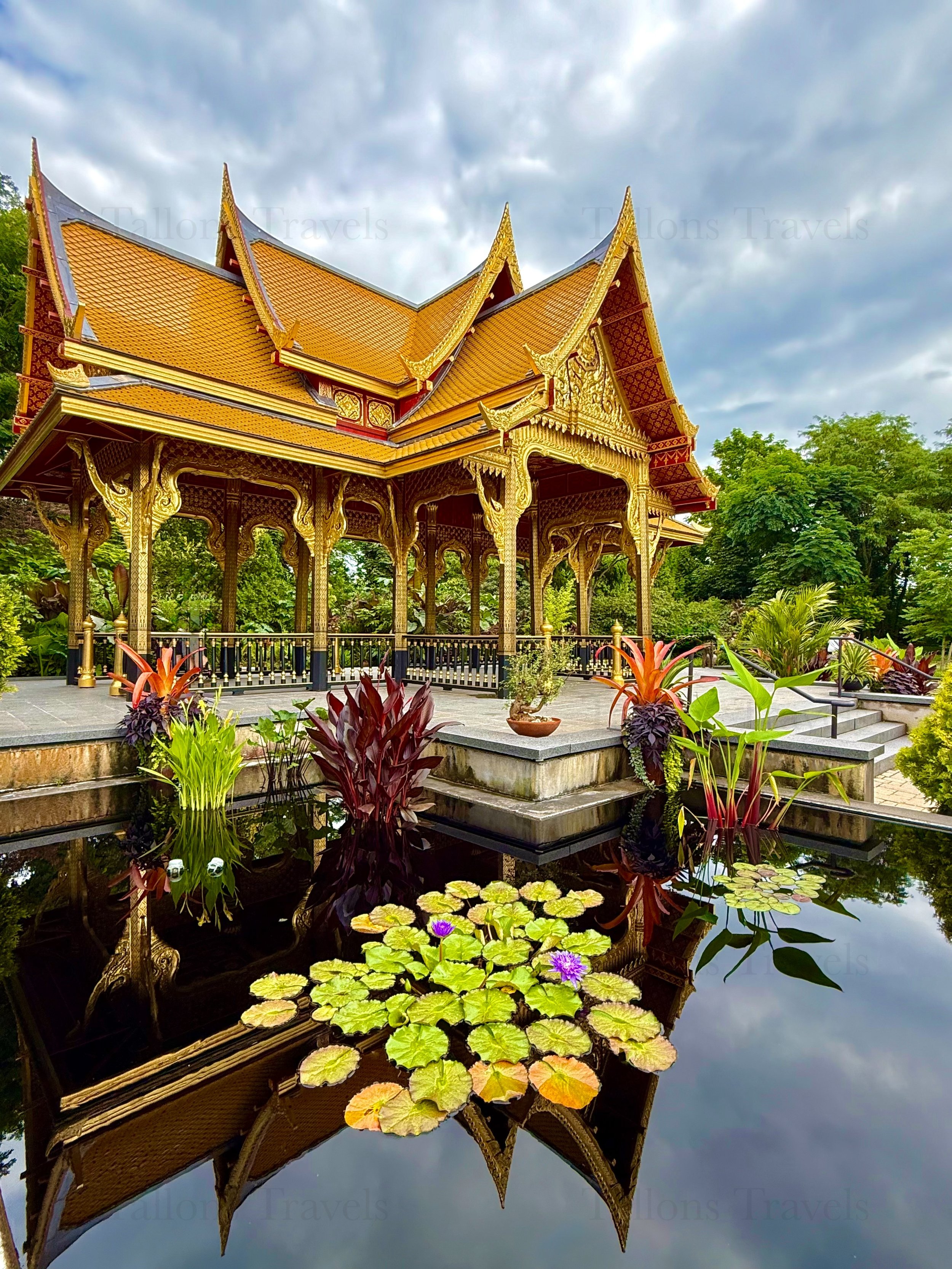 eZy Watermark_23-01-2026_10-39-25-9990PM.jpg