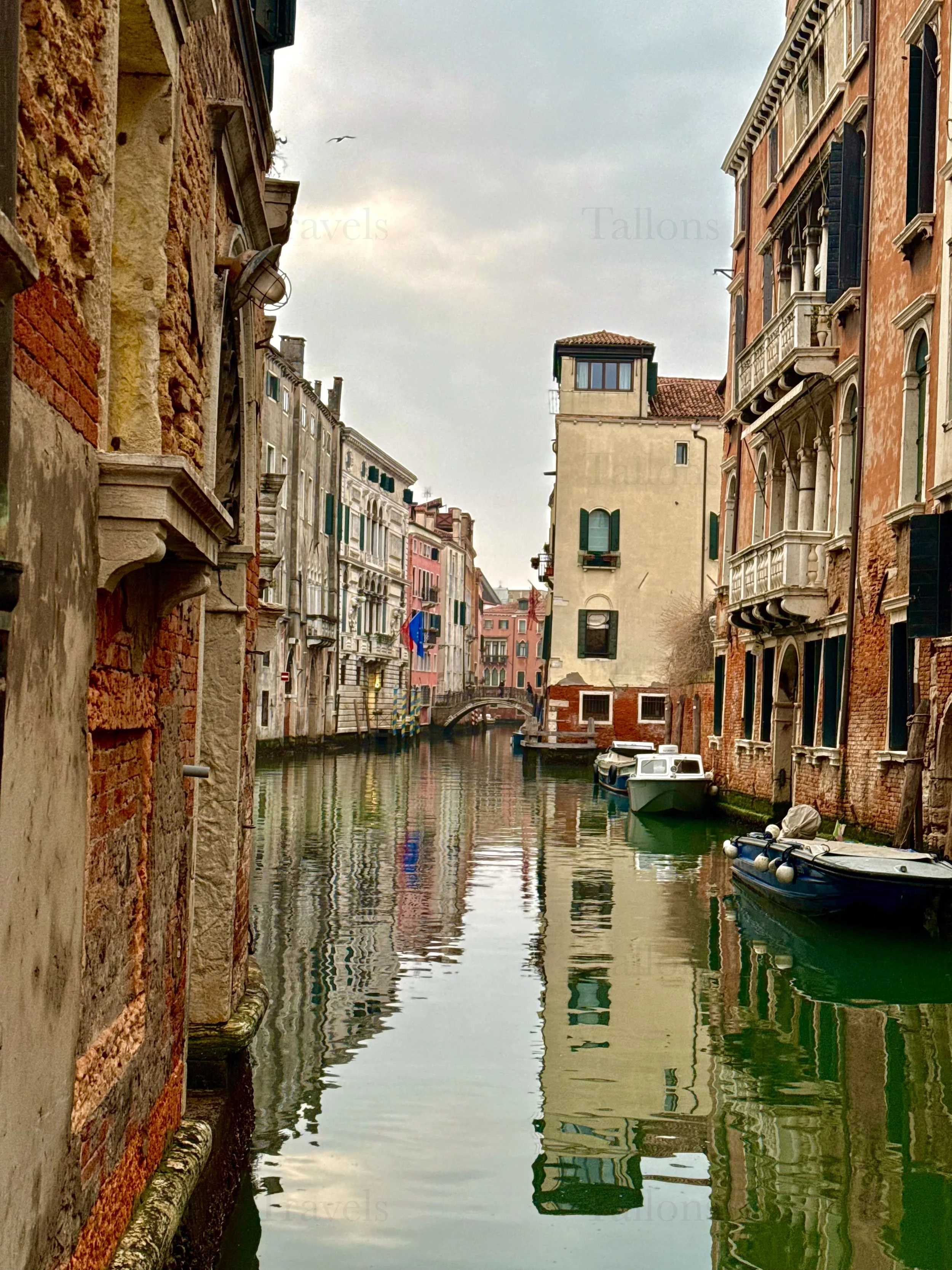 eZy Watermark_04-03-2026_06-27-38-8540PM.jpg