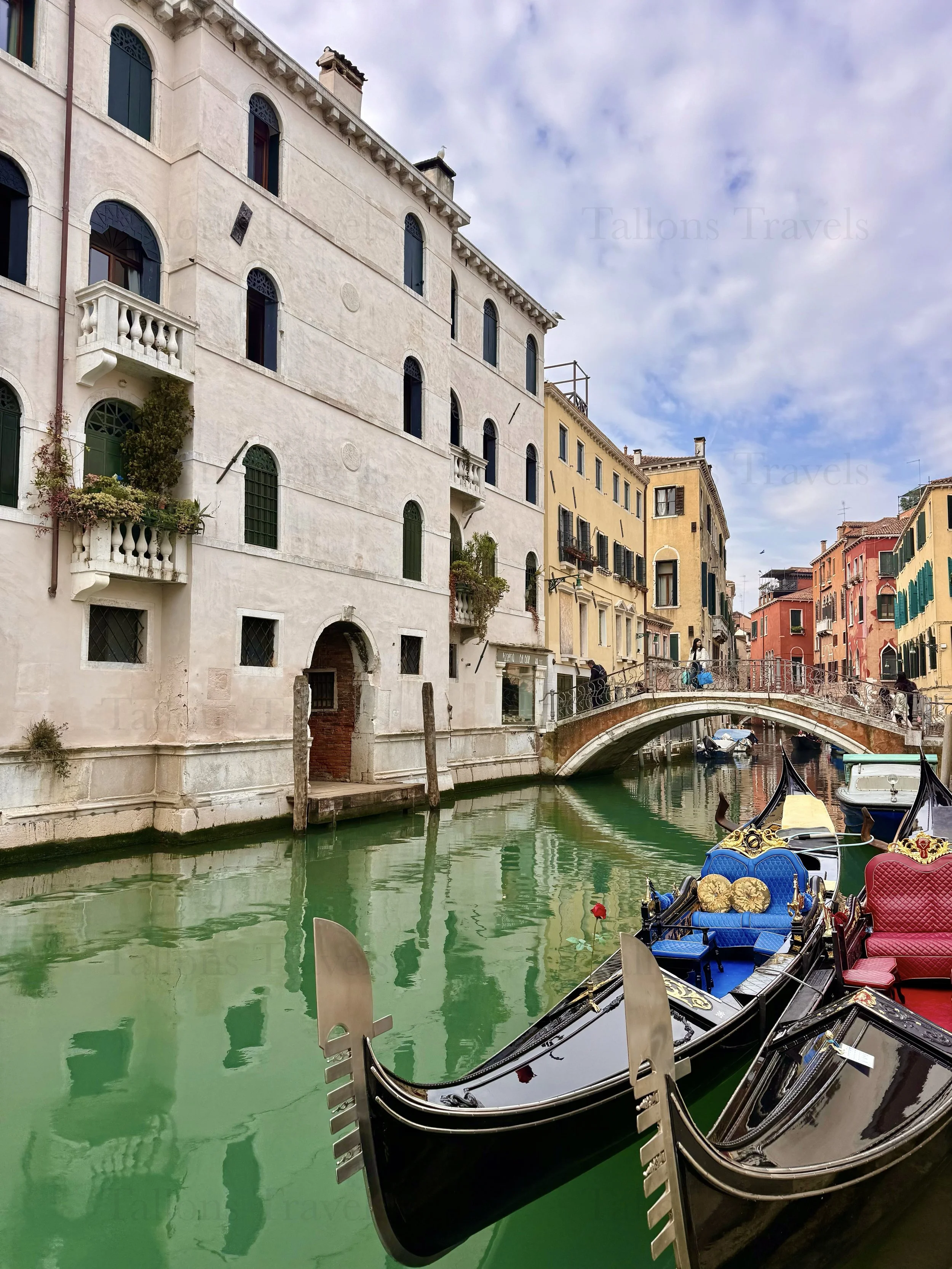 eZy Watermark_04-03-2026_06-23-28-6780PM.jpg