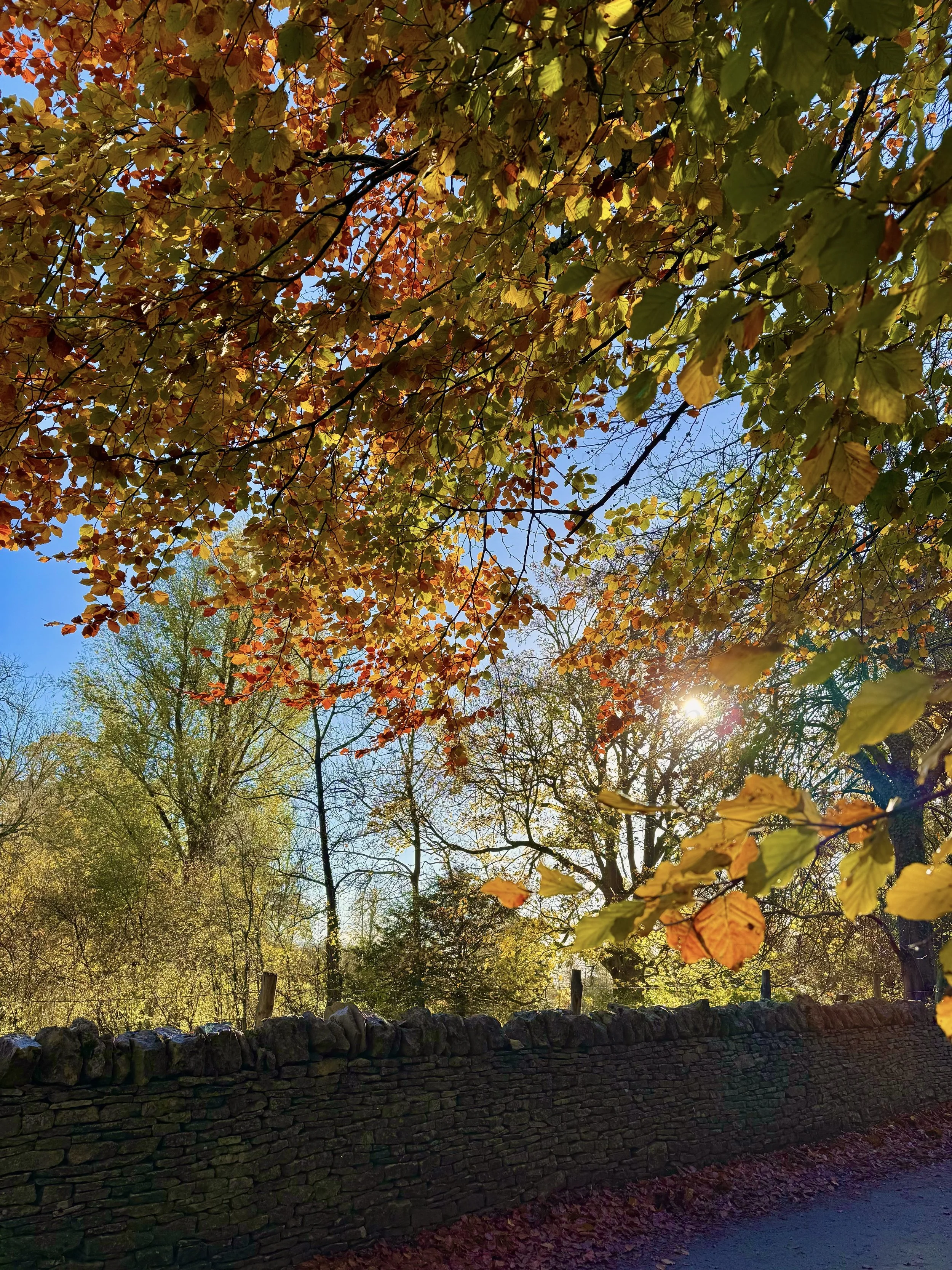 eZy Watermark_23-01-2026_11-26-57-7030AM.jpeg