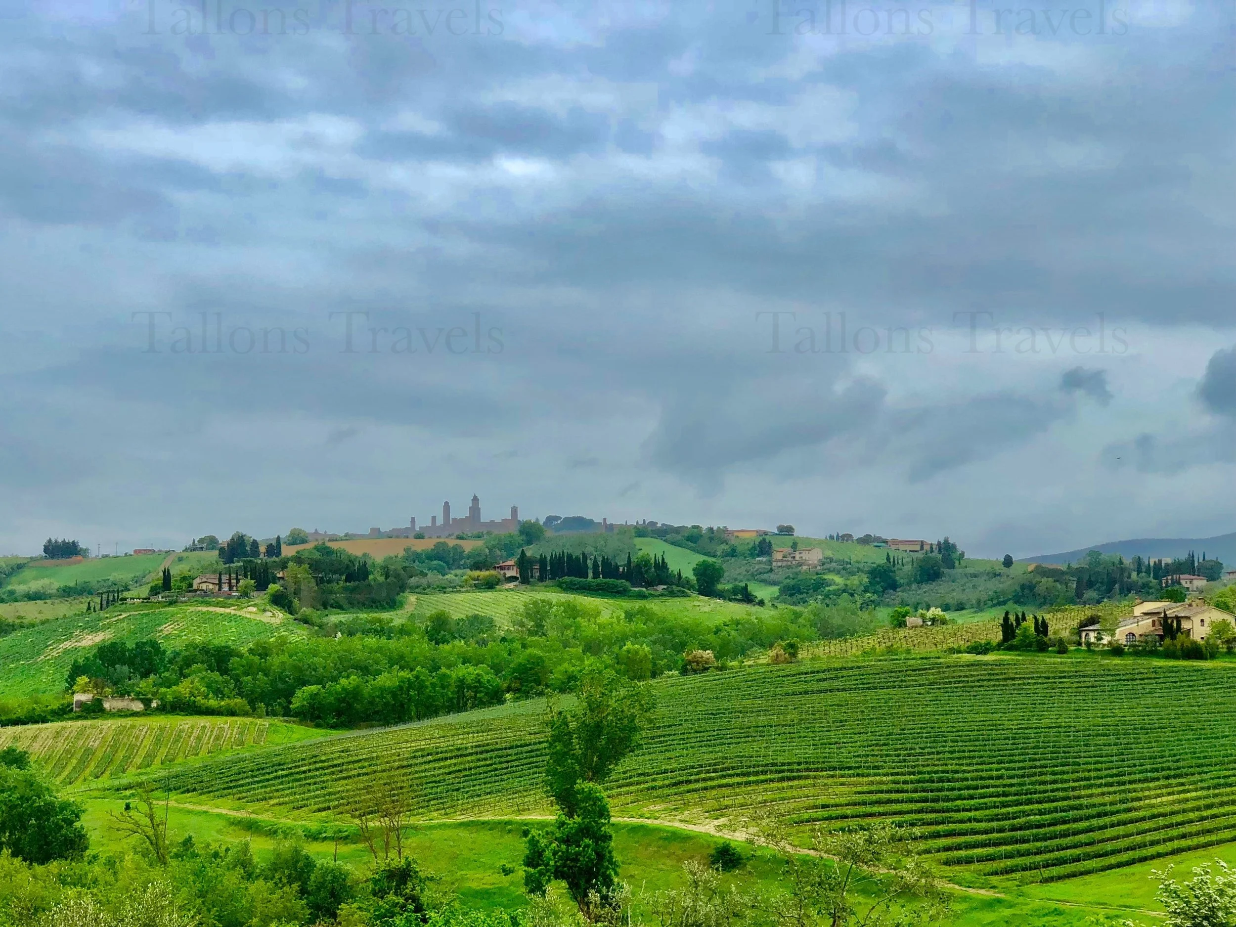 eZy Watermark_24-01-2026_08-09-51-5070PM.JPG