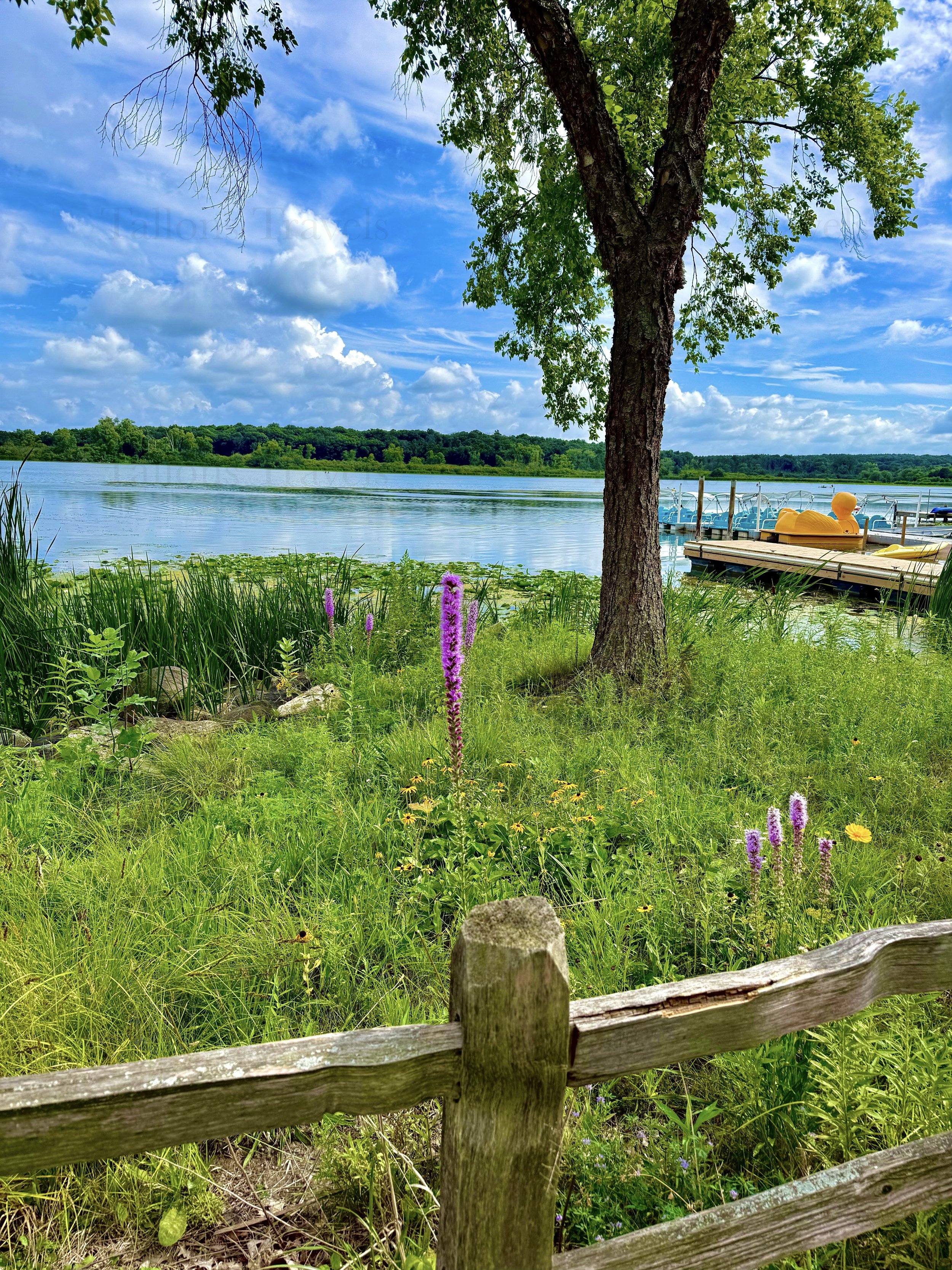 eZy Watermark_23-01-2026_10-38-38-6650PM.jpg