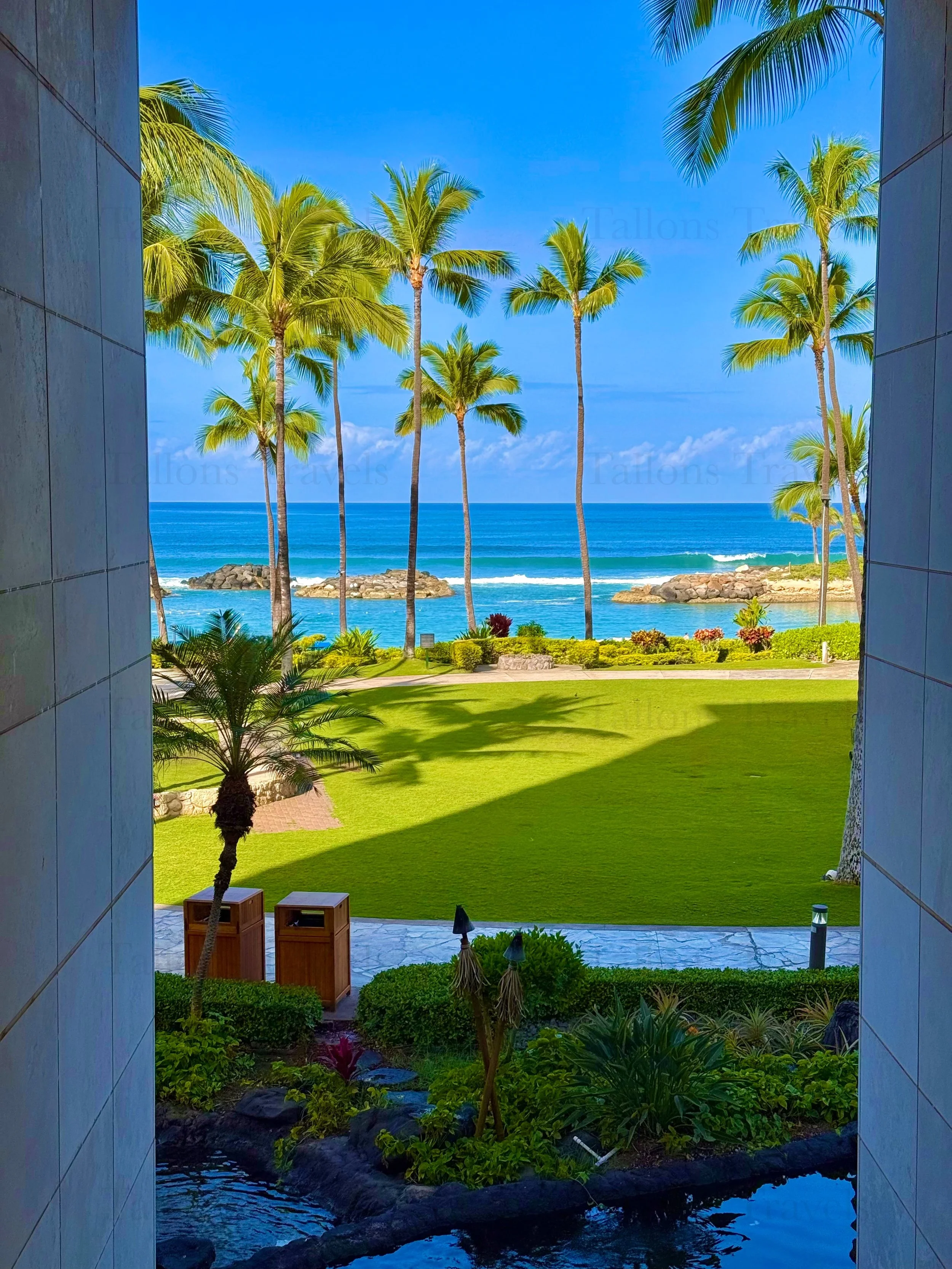 eZy Watermark_23-01-2026_10-19-37-9410PM.jpg