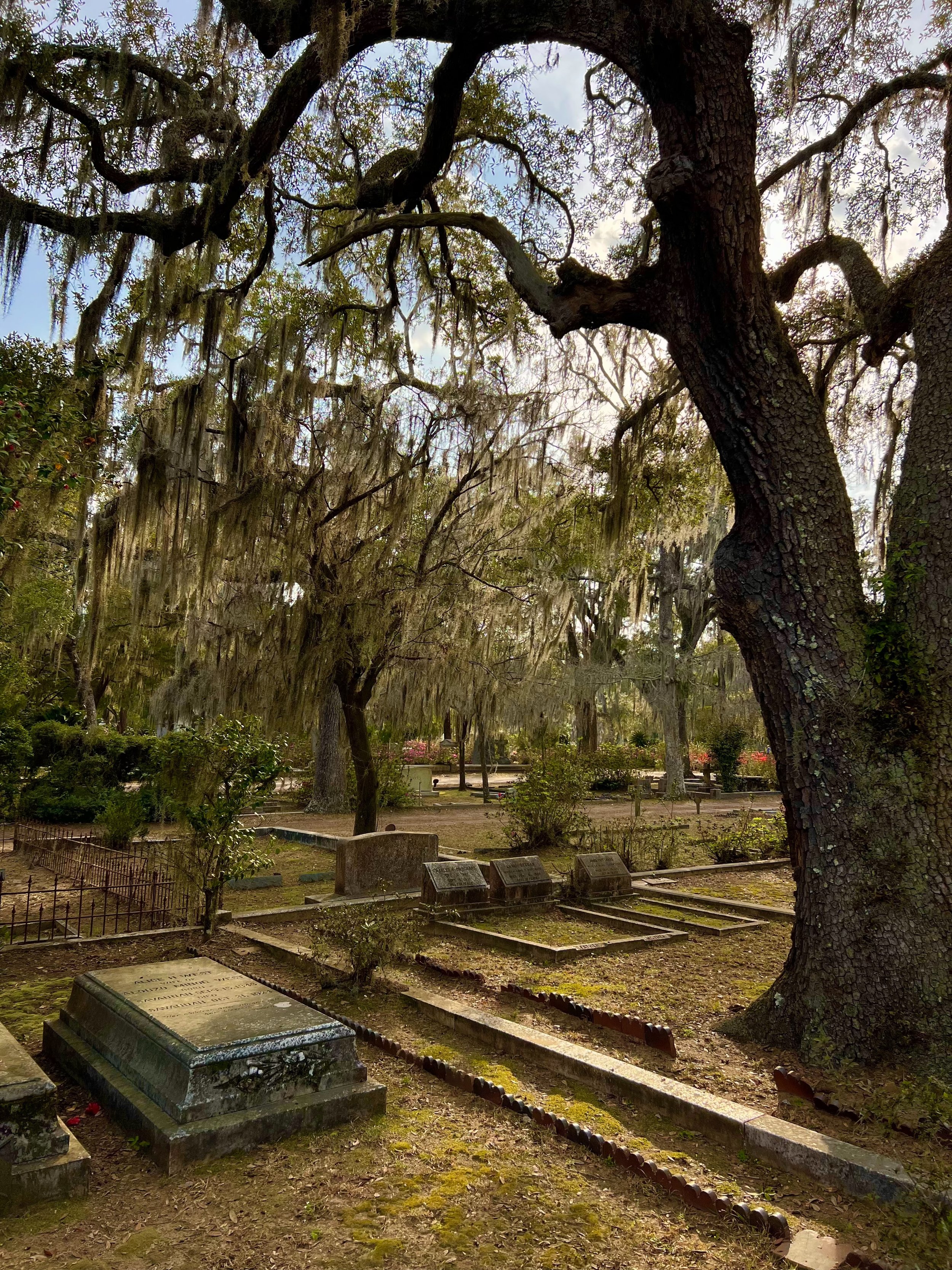 eZy Watermark_27-01-2026_10-08-09-6050PM.jpg