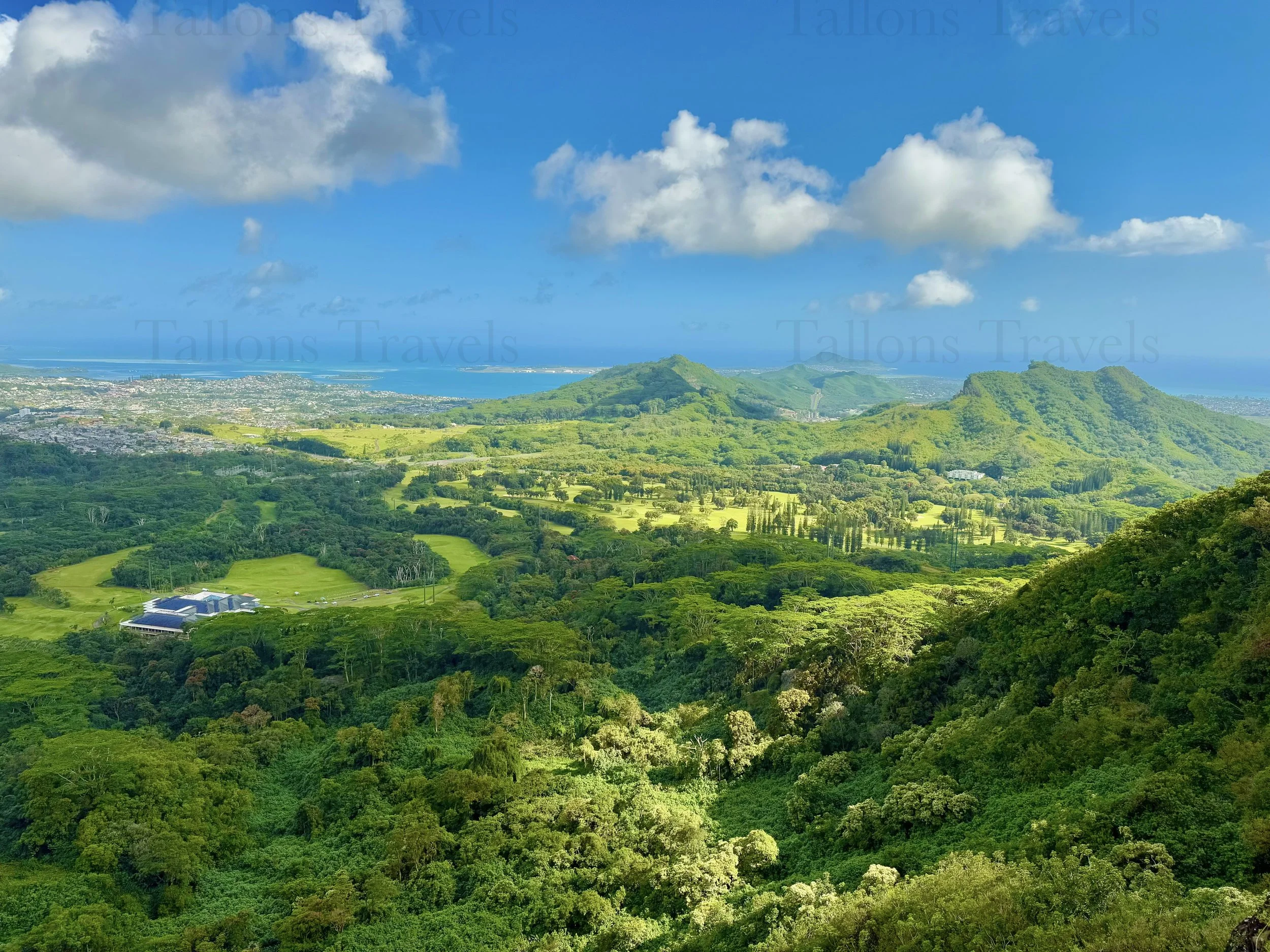 eZy Watermark_23-01-2026_10-20-50-6630PM.jpg