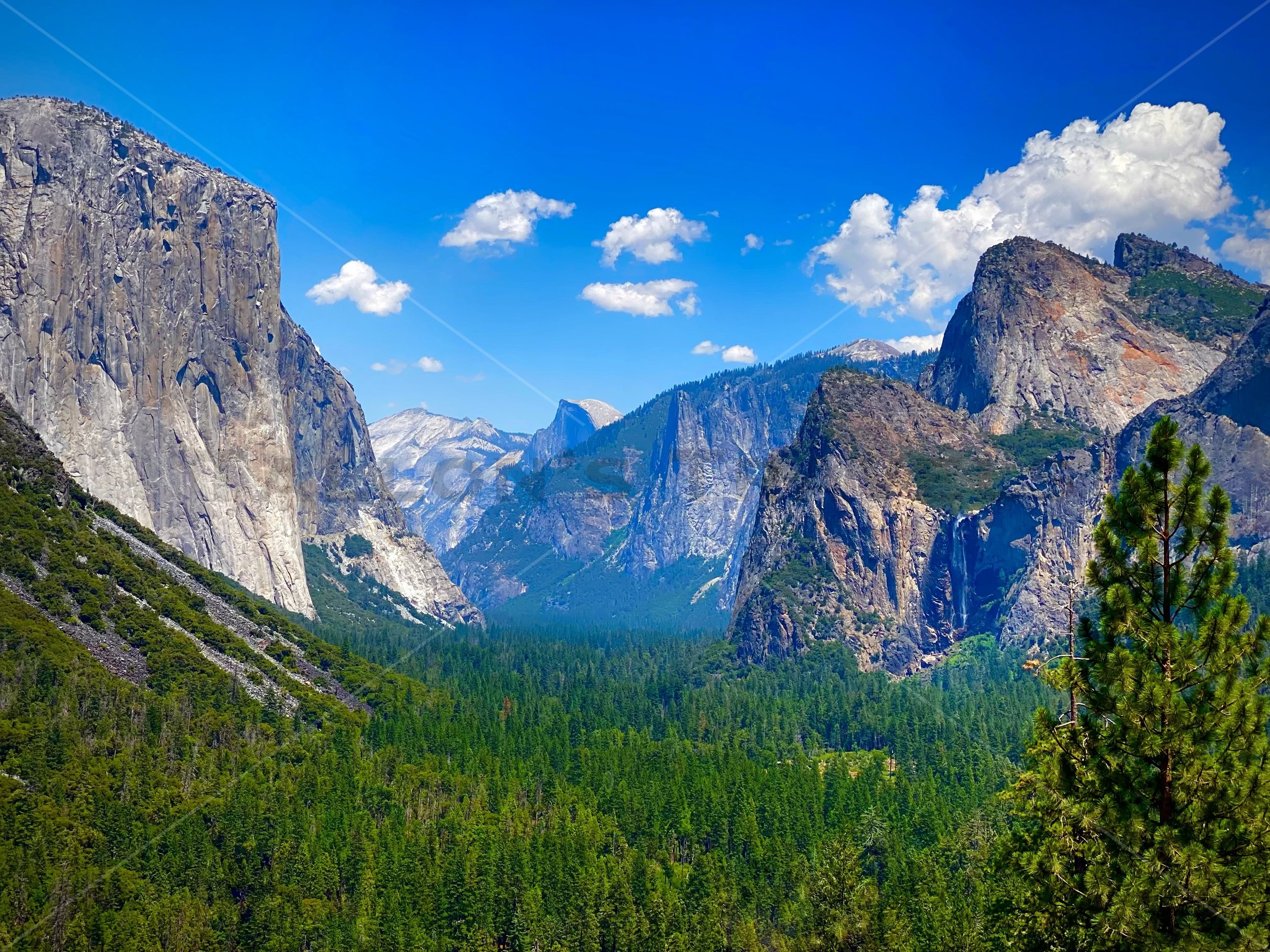 Yosemite's Tunnel View