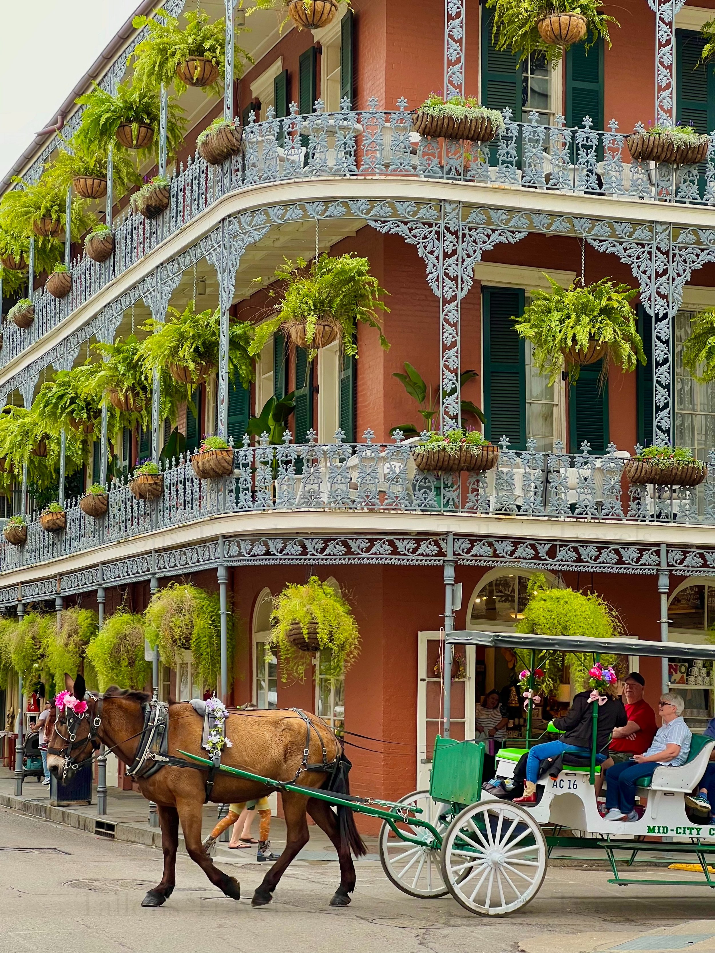 eZy Watermark_23-01-2026_09-24-42-3320PM.jpg