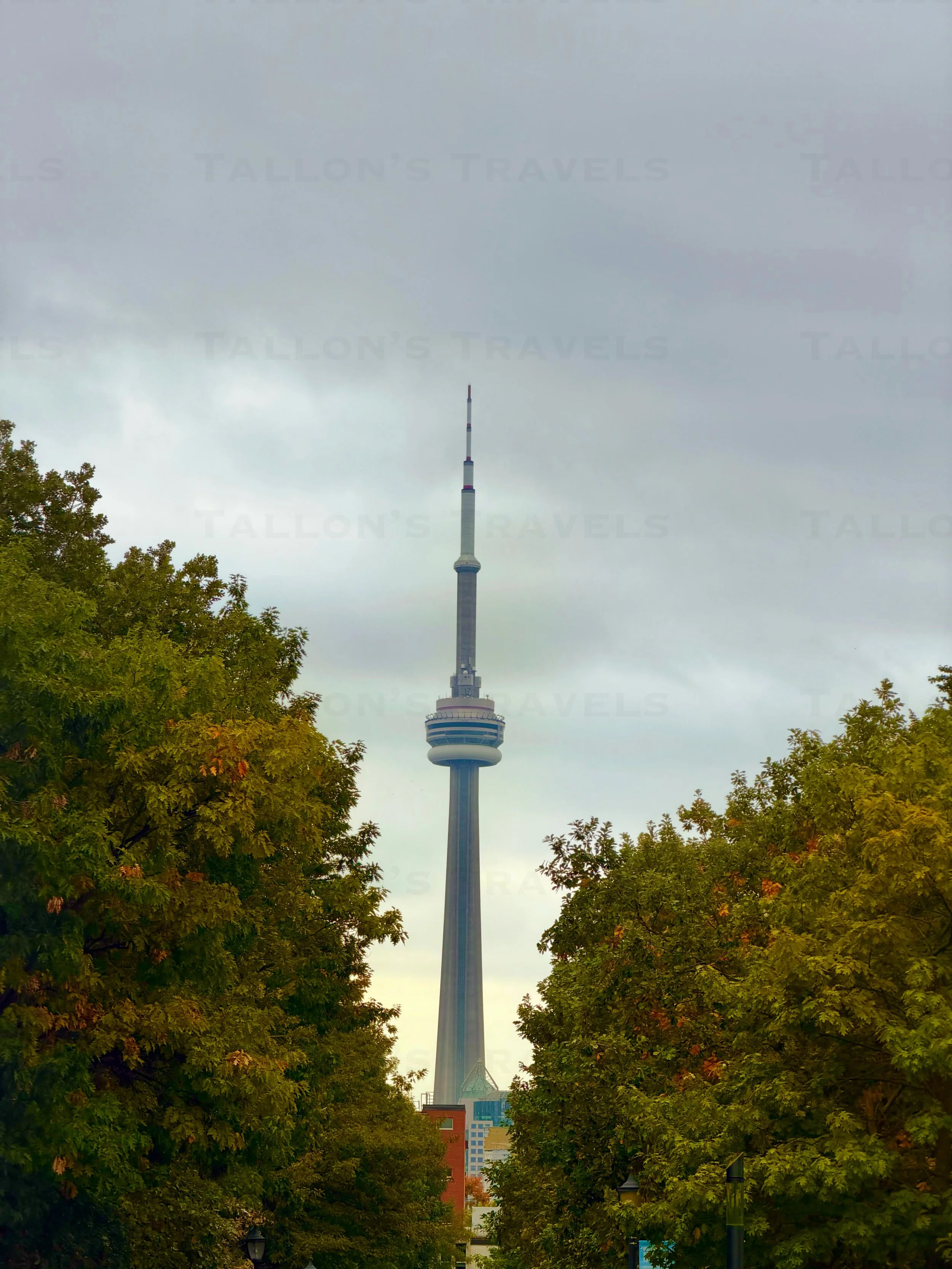 eZy Watermark_23-10-2026_01-55-16-5910PM.jpg