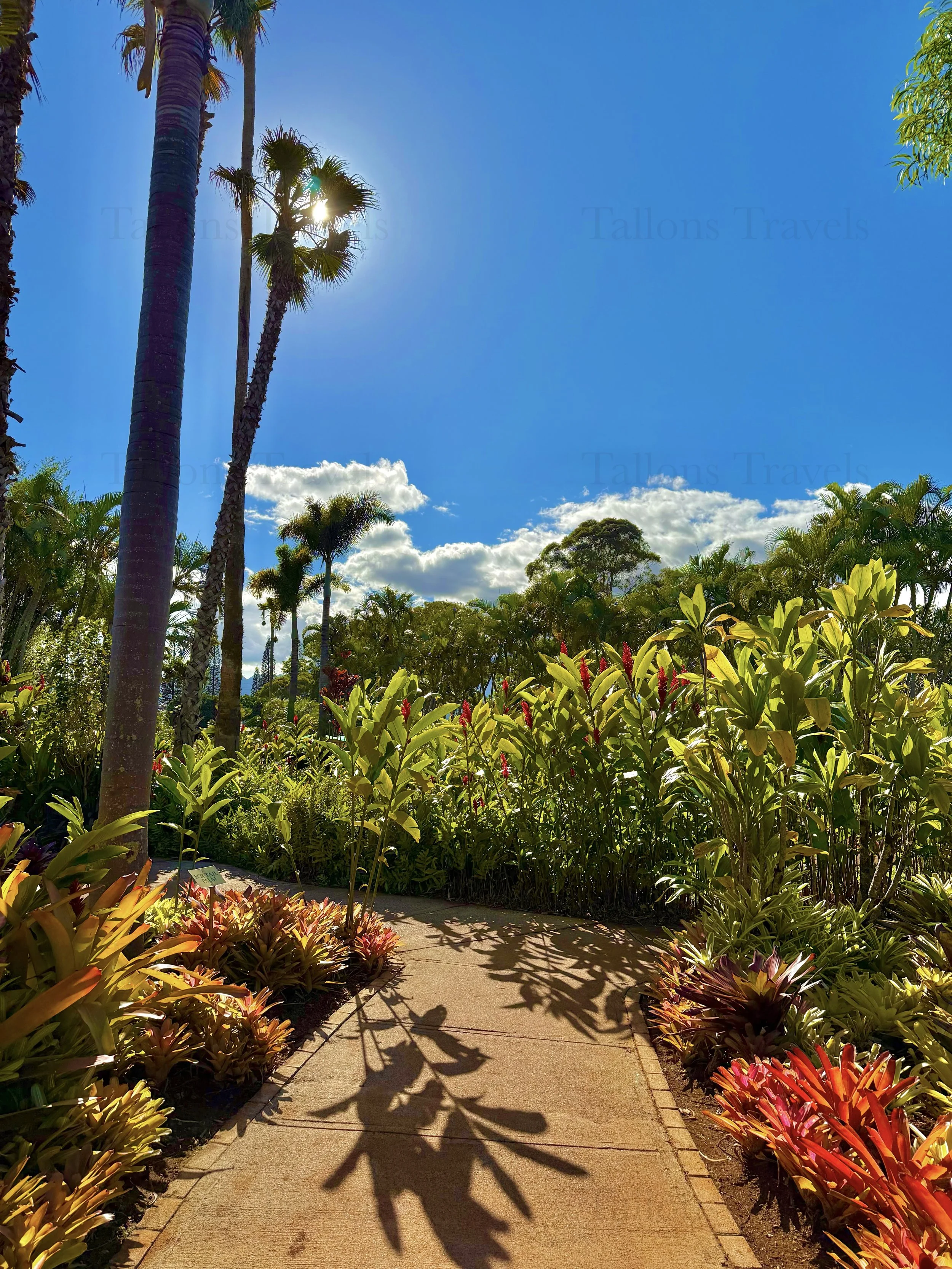 eZy Watermark_23-01-2026_10-19-34-5110PM.jpg