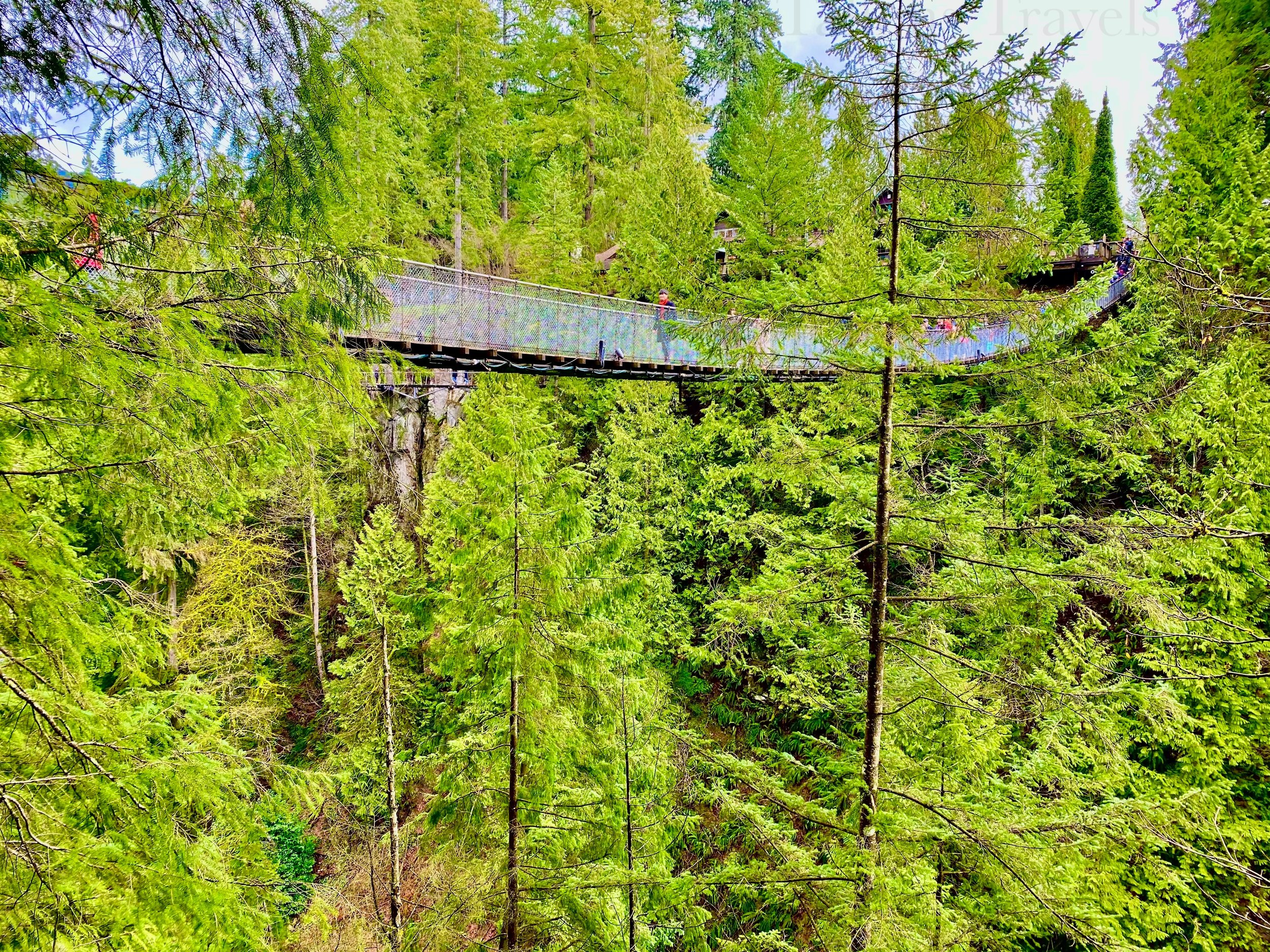 eZy Watermark_25-01-2026_03-28-38-0620PM.jpg