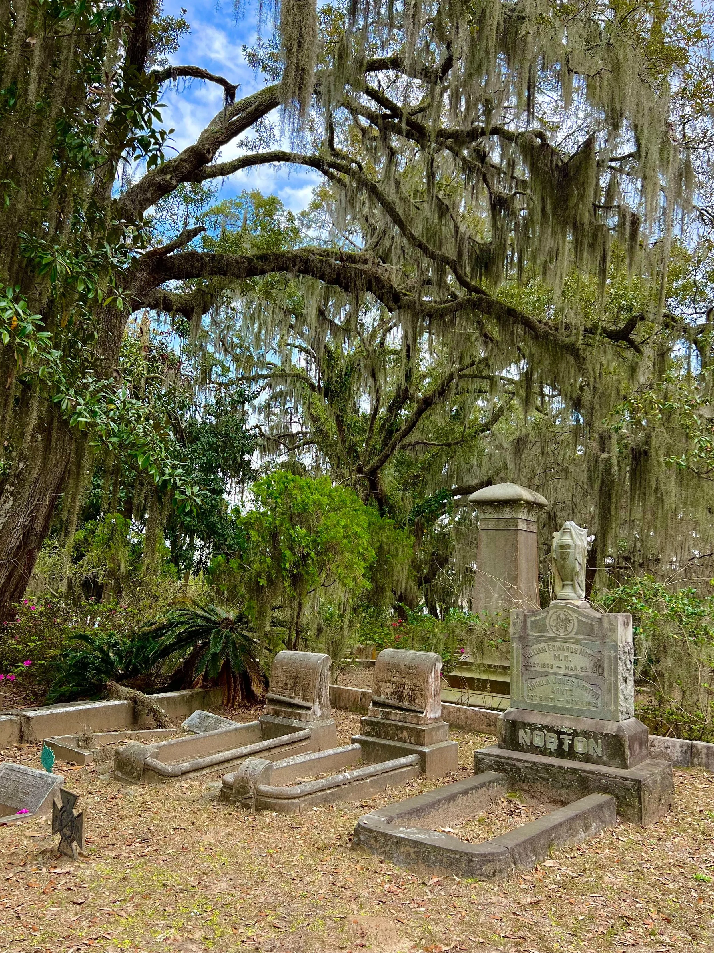 eZy Watermark_27-01-2026_10-08-17-9300PM.jpg