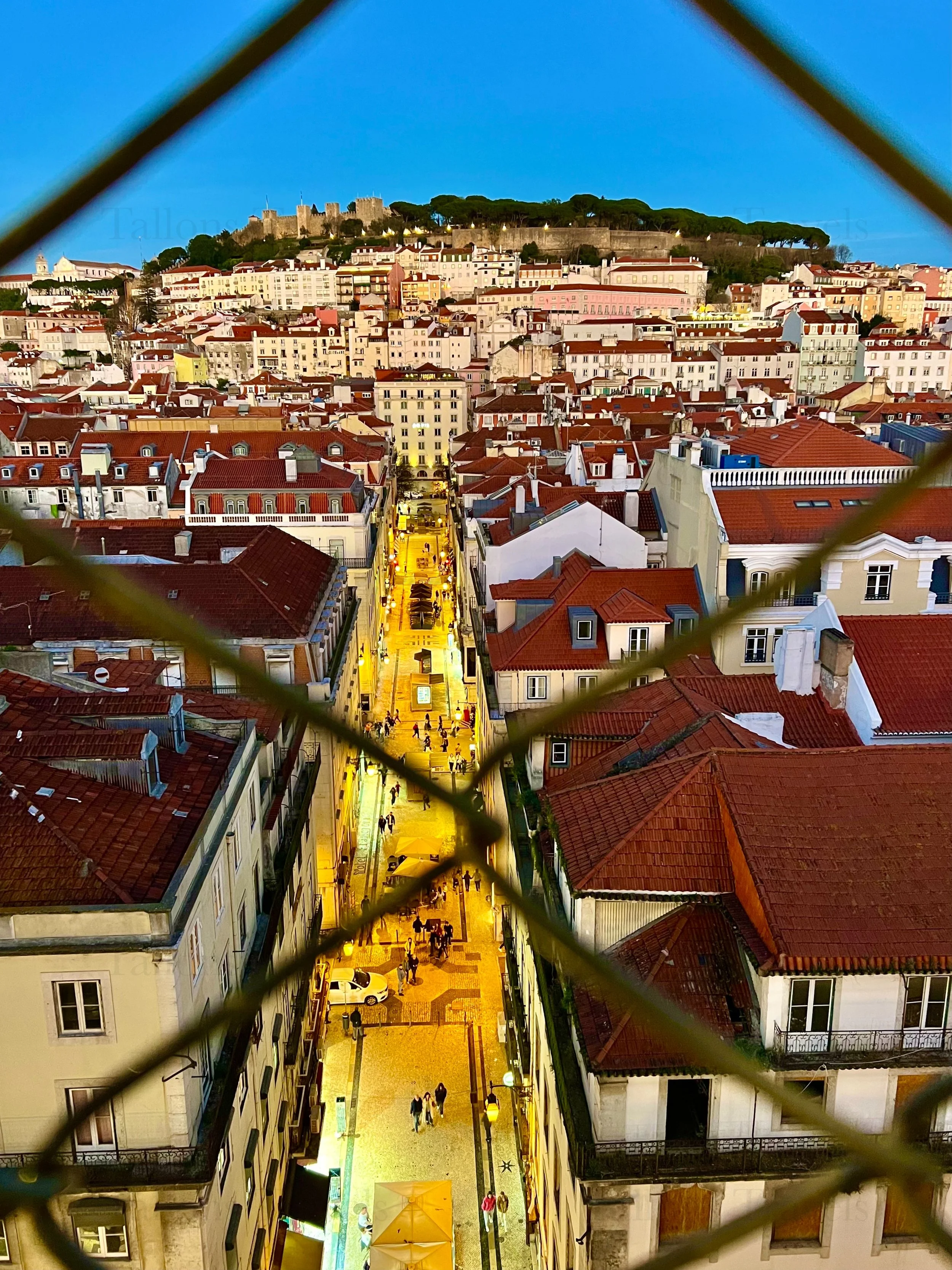 eZy Watermark_23-01-2026_10-55-57-0500PM.jpg