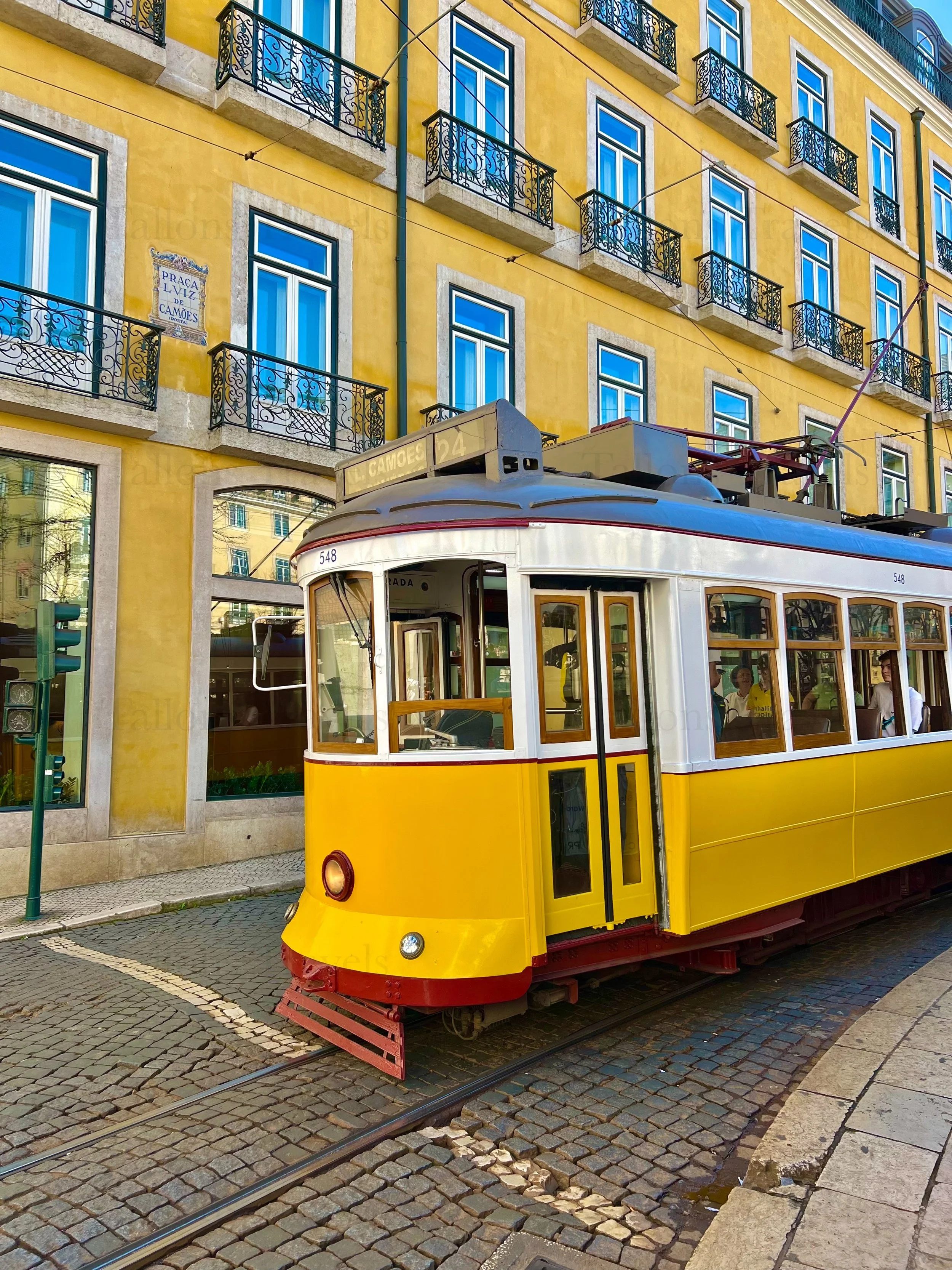 eZy Watermark_23-01-2026_10-56-07-9820PM.jpg