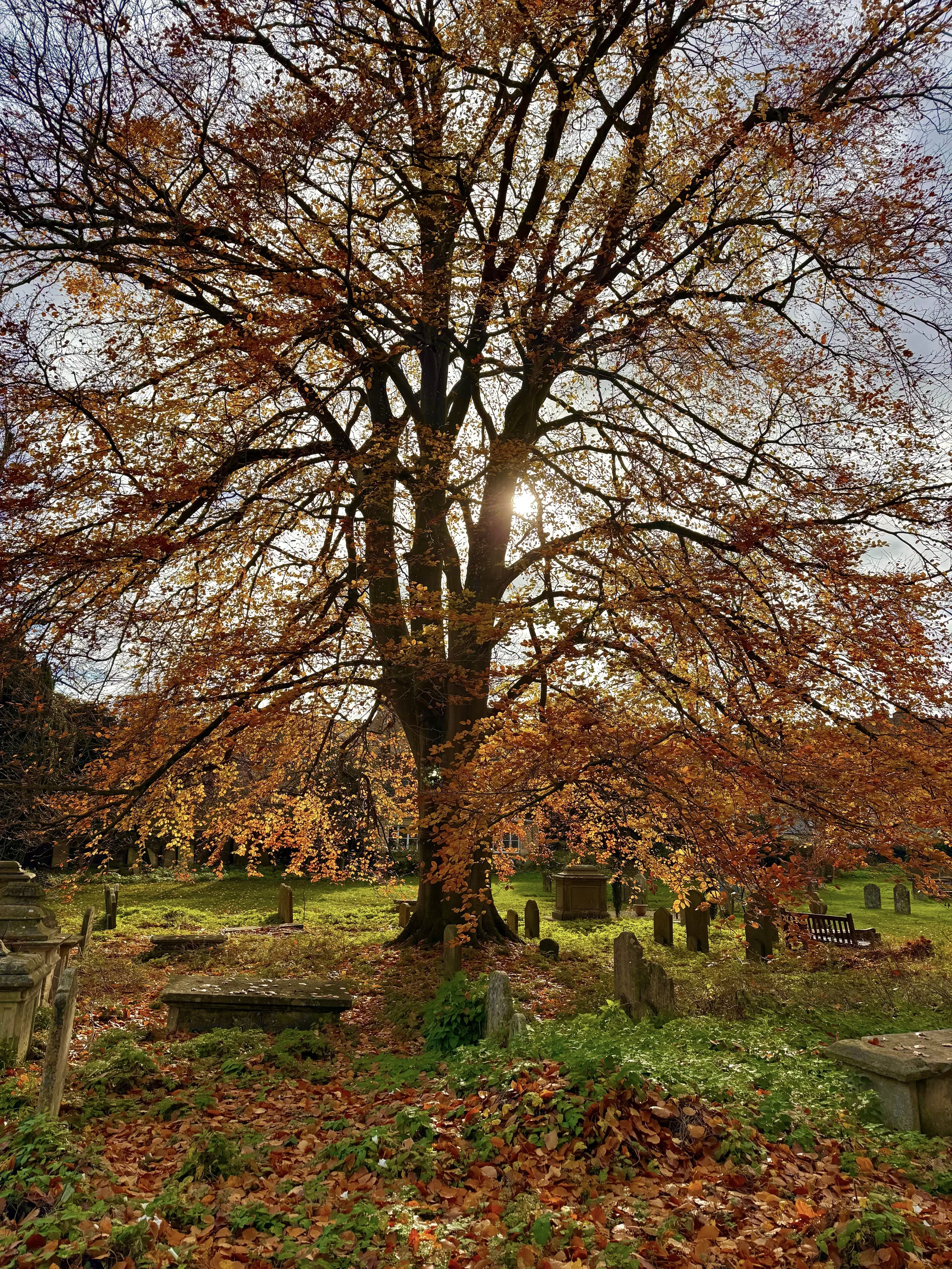 eZy Watermark_23-01-2026_11-26-29-1260AM.jpeg