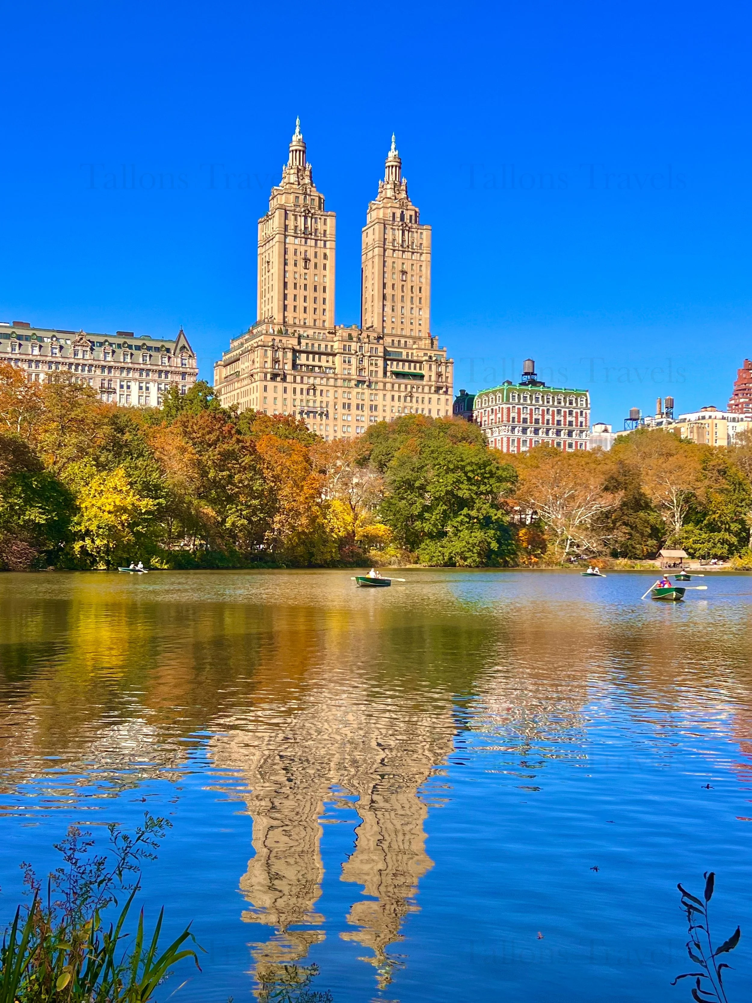 eZy Watermark_23-01-2026_11-20-09-7570PM.jpg