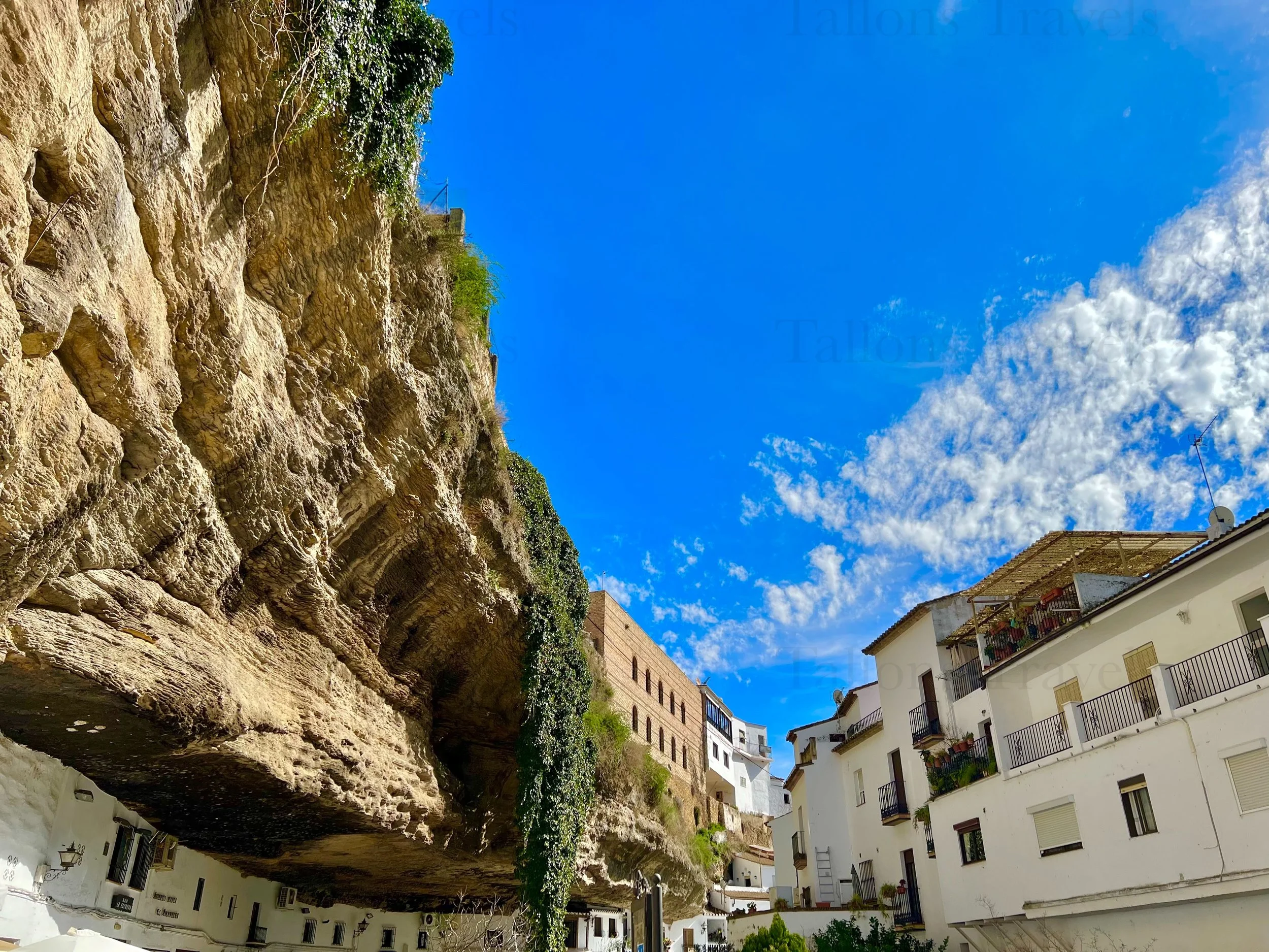 eZy Watermark_27-01-2026_09-21-15-0410PM.jpg