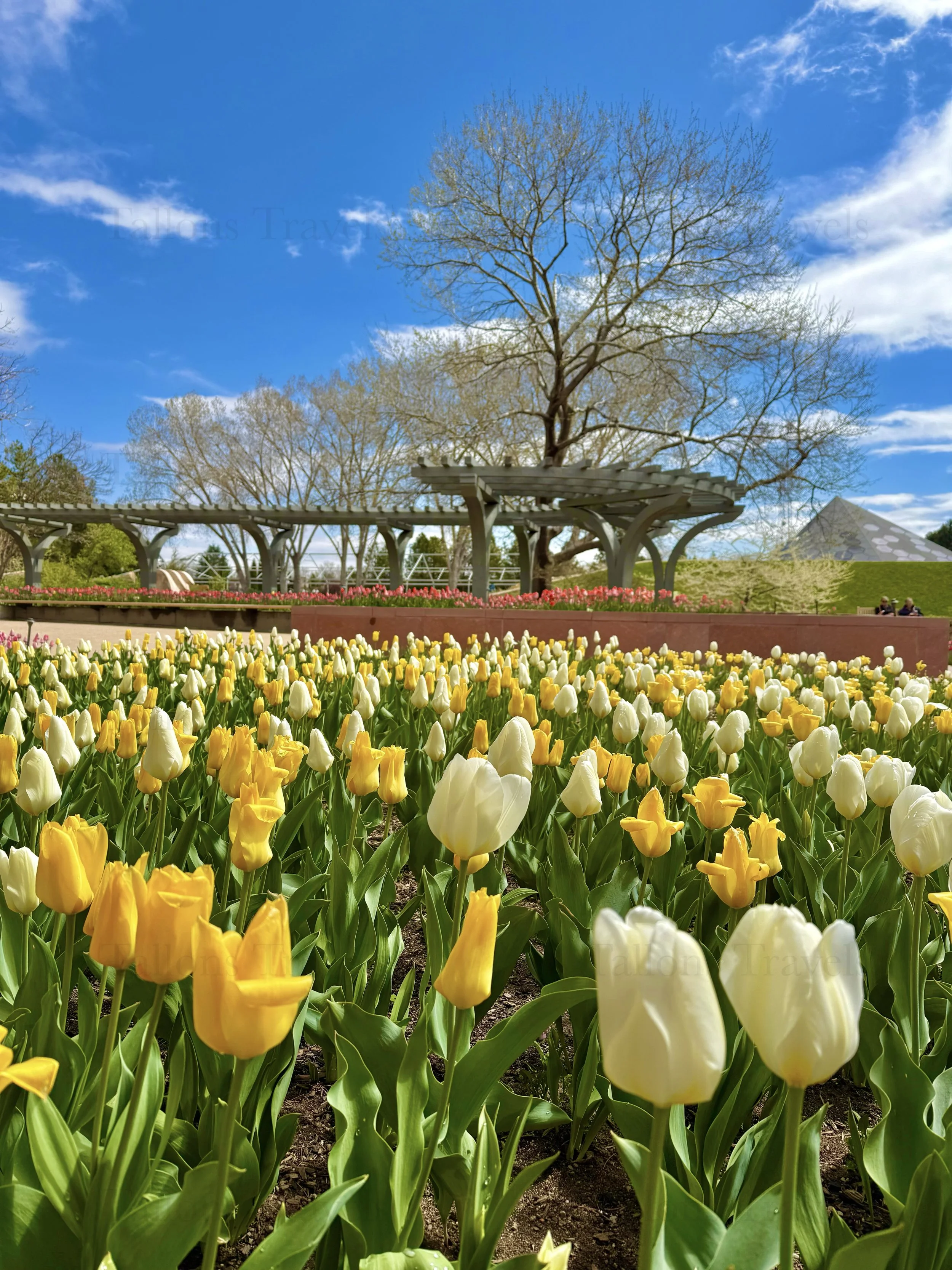 eZy Watermark_27-01-2026_09-39-55-7010PM.jpg