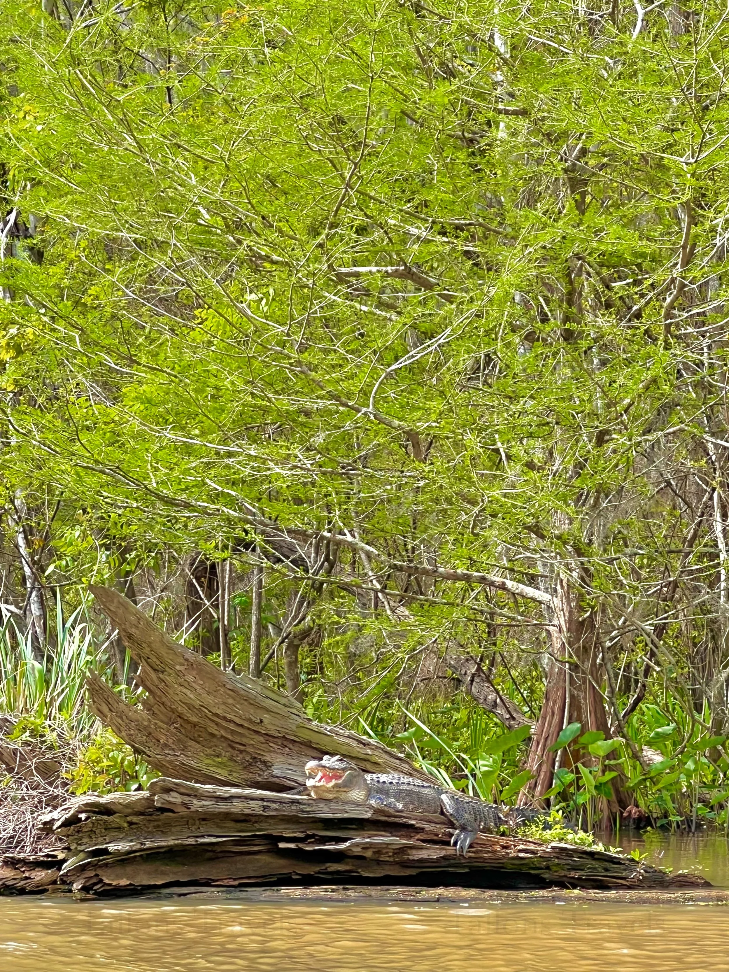 eZy Watermark_23-01-2026_09-25-41-9230PM.jpg