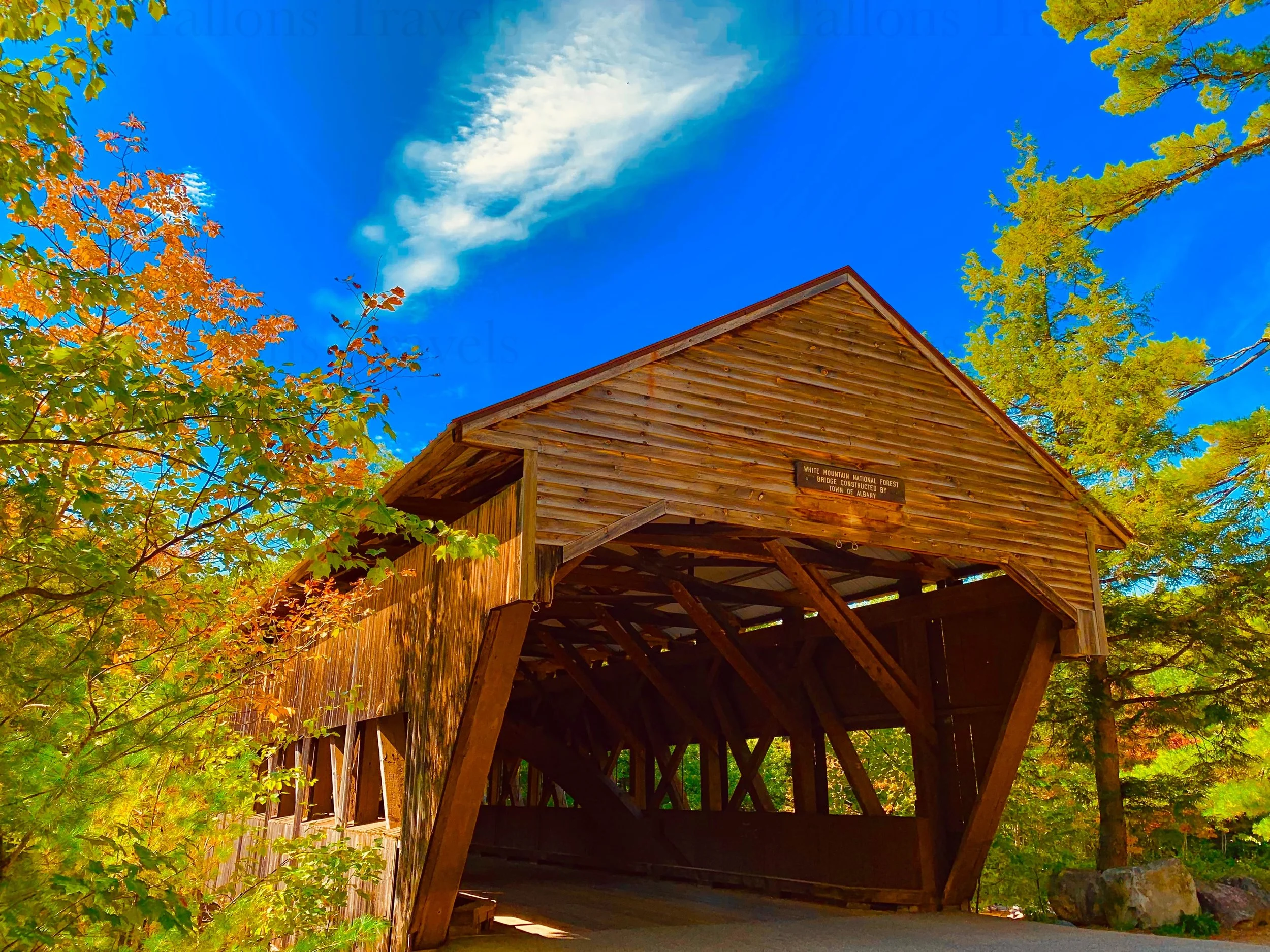 eZy Watermark_27-01-2026_09-59-59-9540PM.jpg