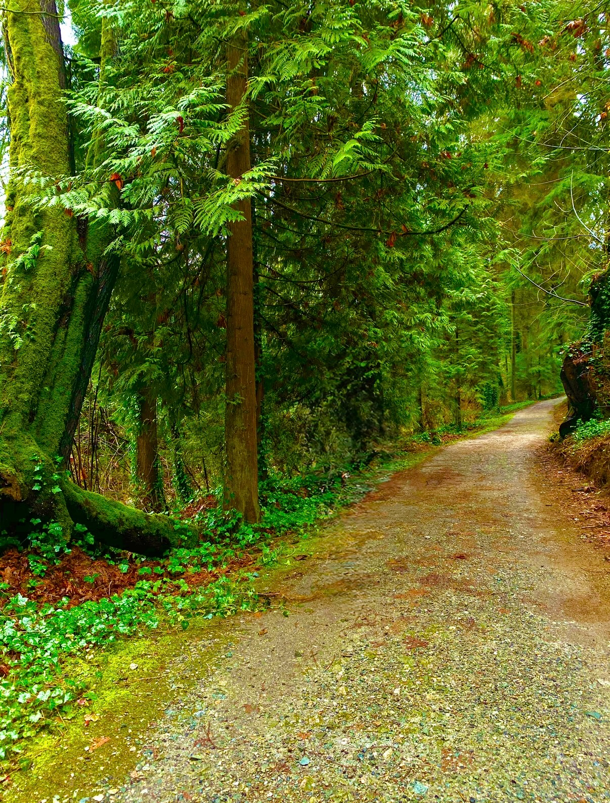 eZy Watermark_25-01-2026_03-28-43-1490PM.PNG