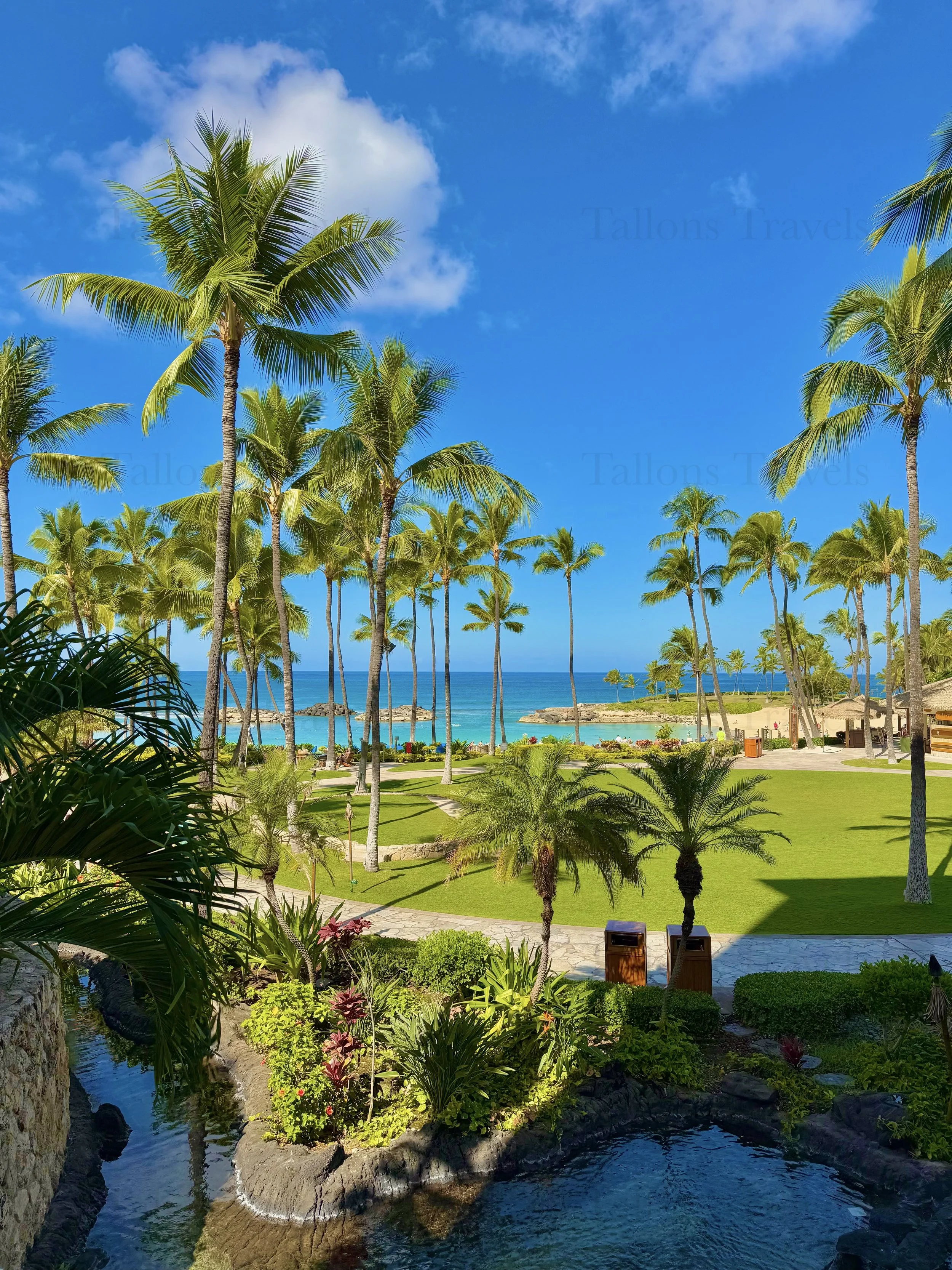 eZy Watermark_23-01-2026_10-21-12-6040PM.jpg