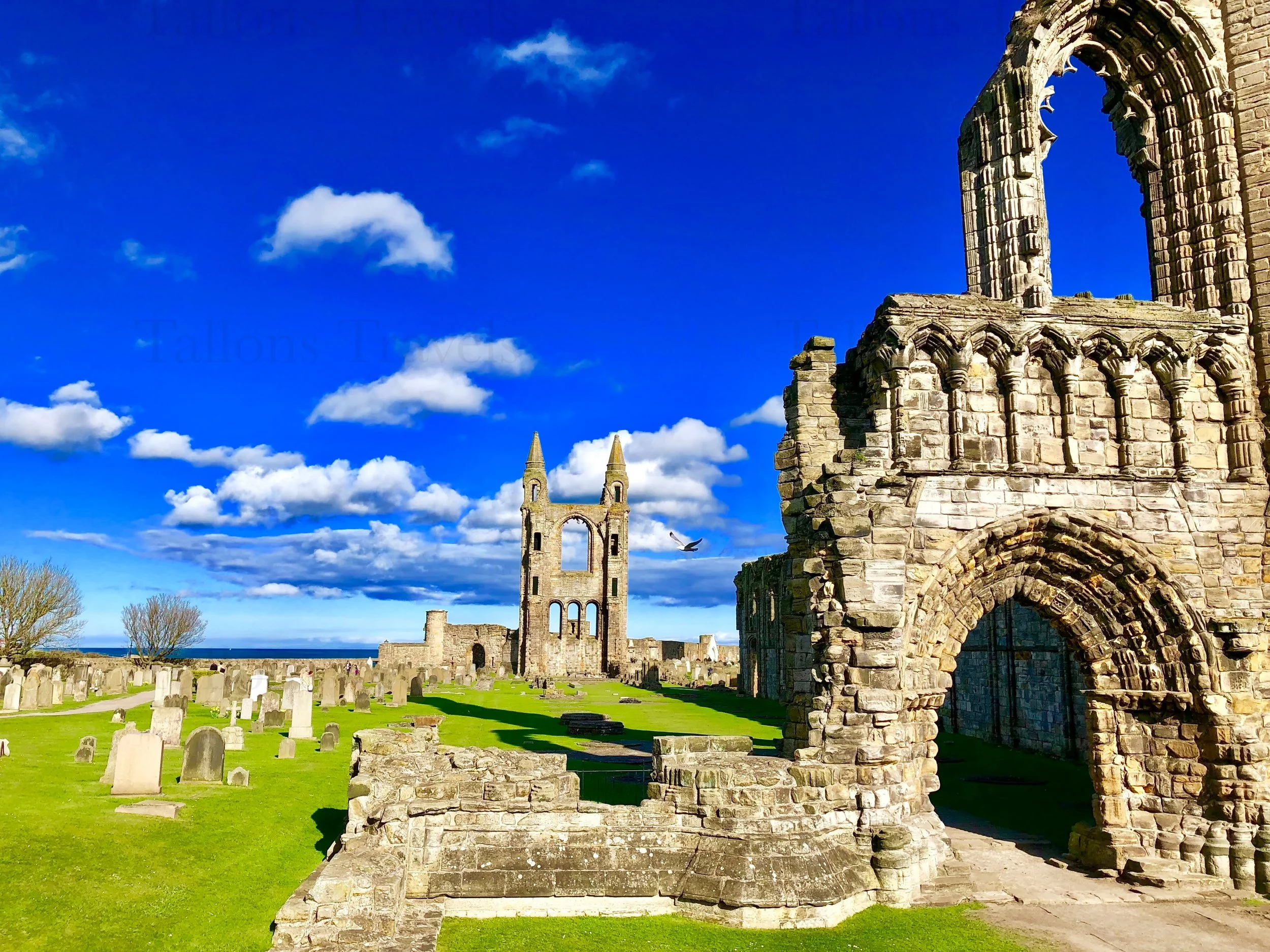 eZy Watermark_27-01-2026_09-47-59-4660PM.jpg