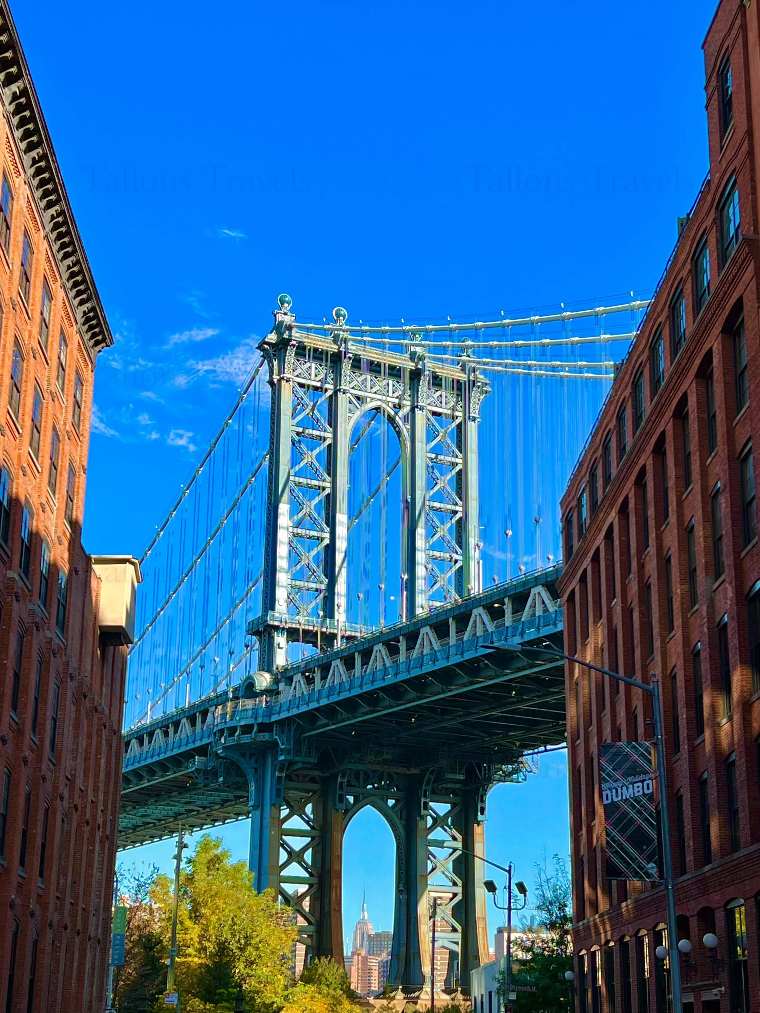 eZy Watermark_23-01-2026_11-19-15-2160PM.jpg