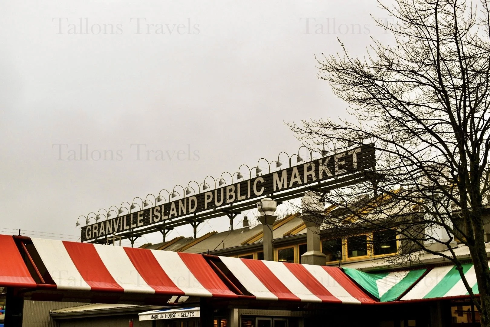 eZy Watermark_25-01-2026_03-28-06-7920PM.JPG