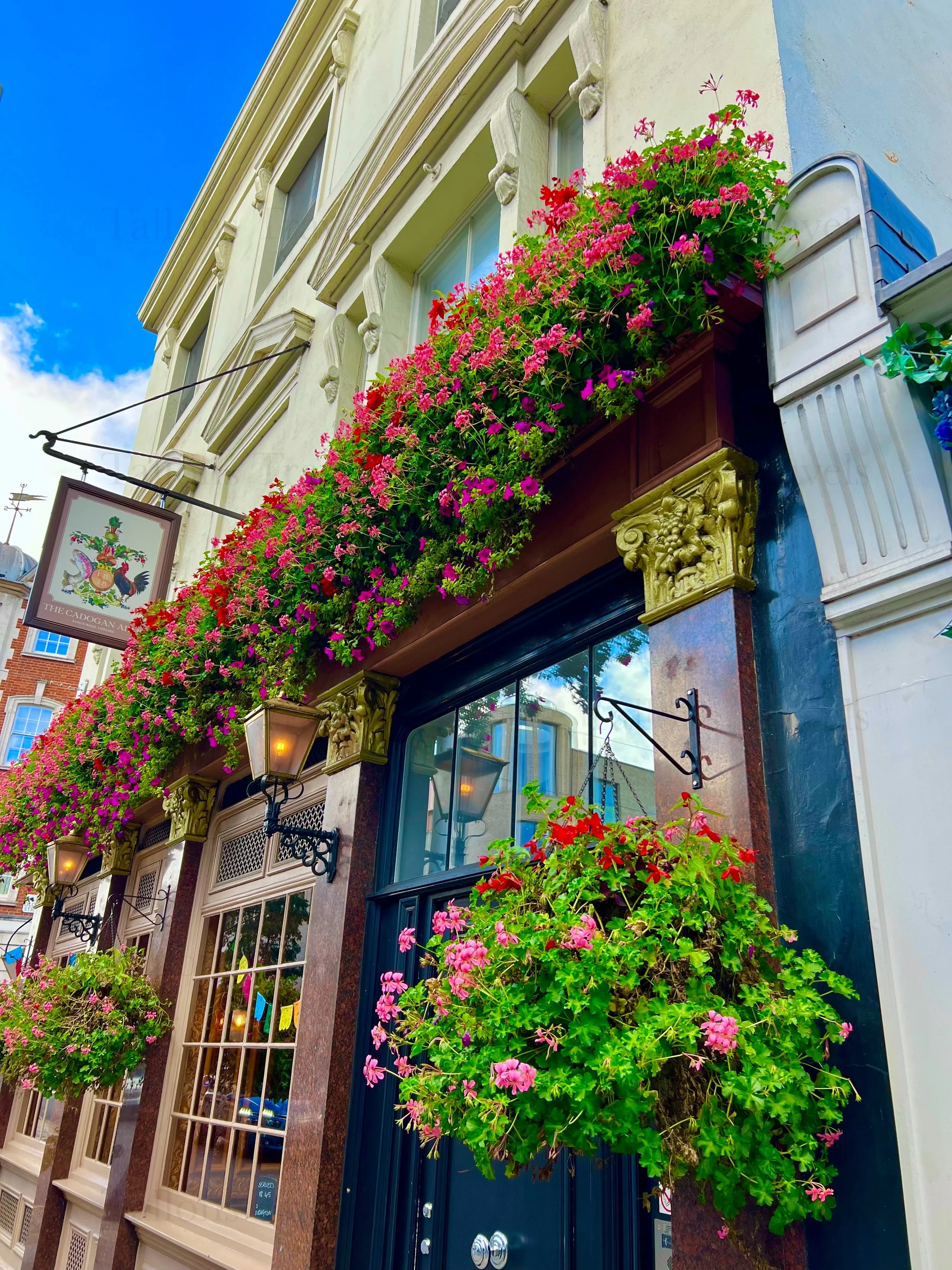 eZy Watermark_23-01-2026_01-42-15-3490PM.jpg