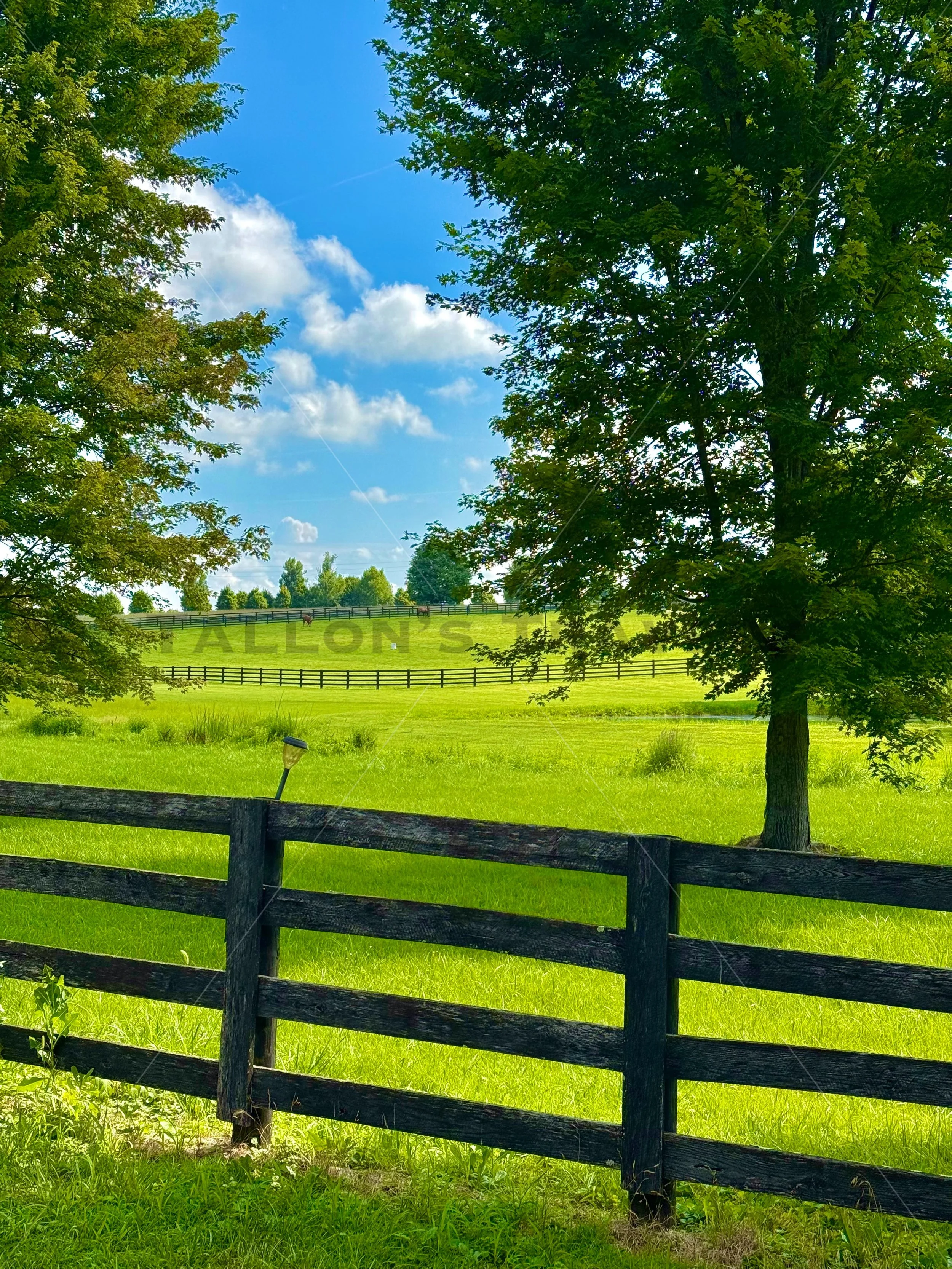 Rolling Hills of the Kentucky Bluegrass Region