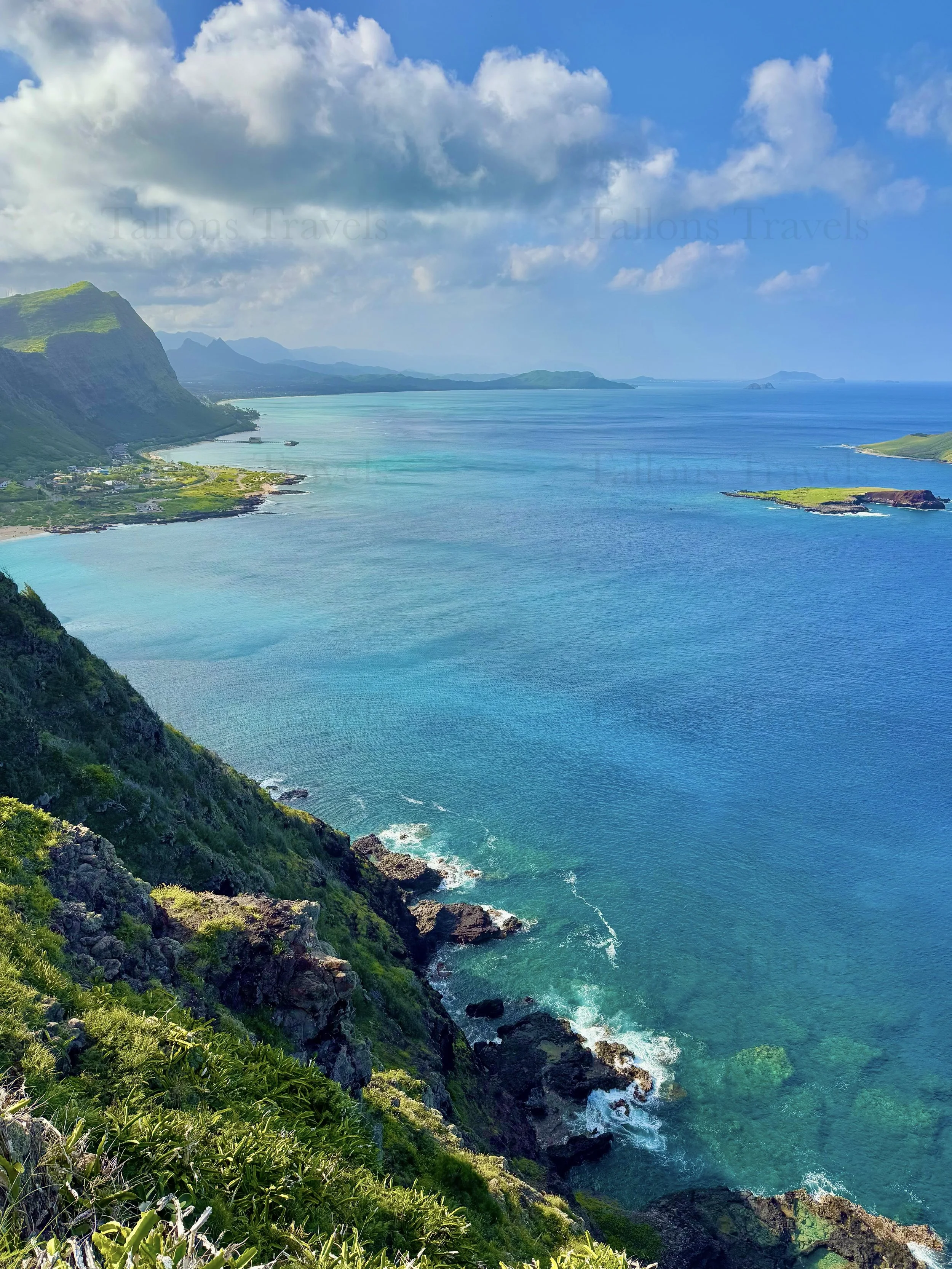 eZy Watermark_23-01-2026_10-20-02-7870PM.jpg