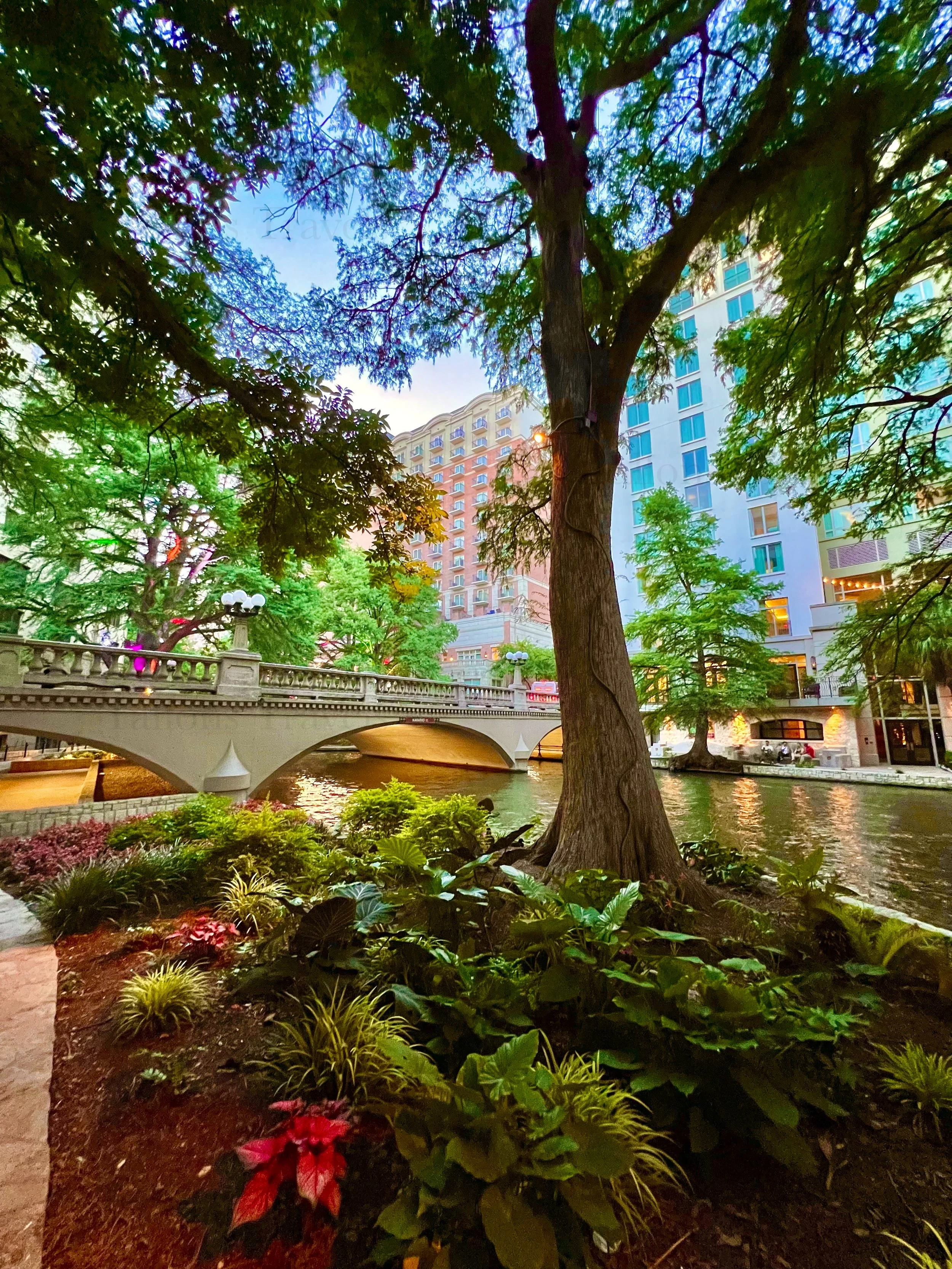 eZy Watermark_23-01-2026_10-04-27-7150PM.jpg