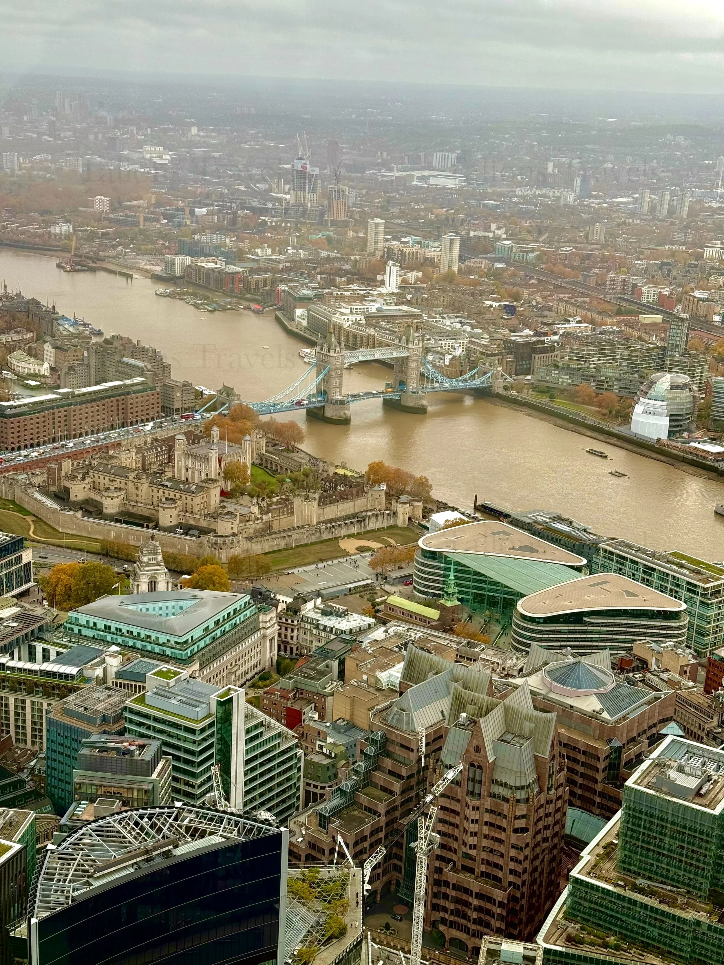 eZy Watermark_23-01-2026_01-43-04-1120PM.jpg