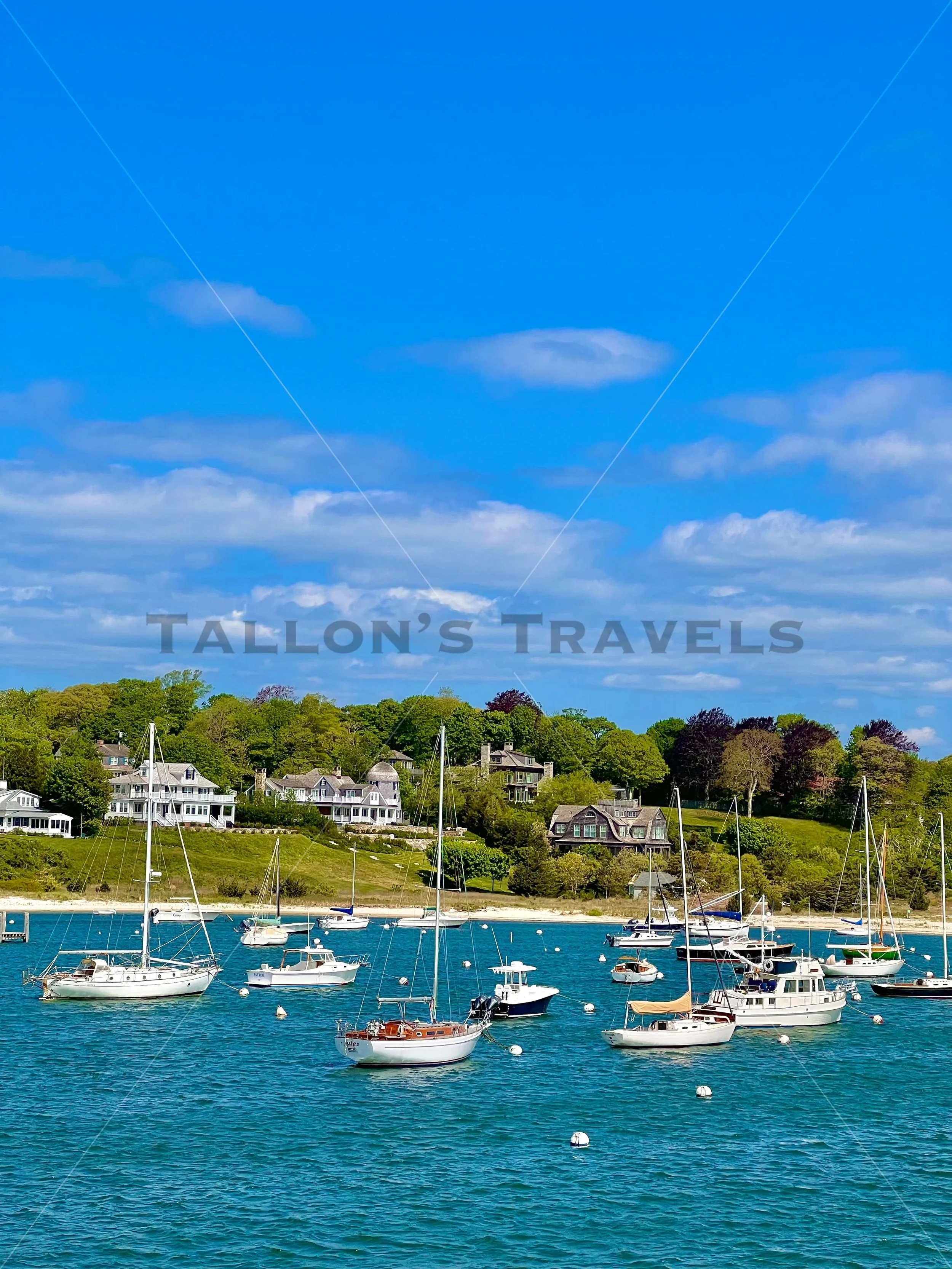 The Vibrancy of Martha's Vineyard