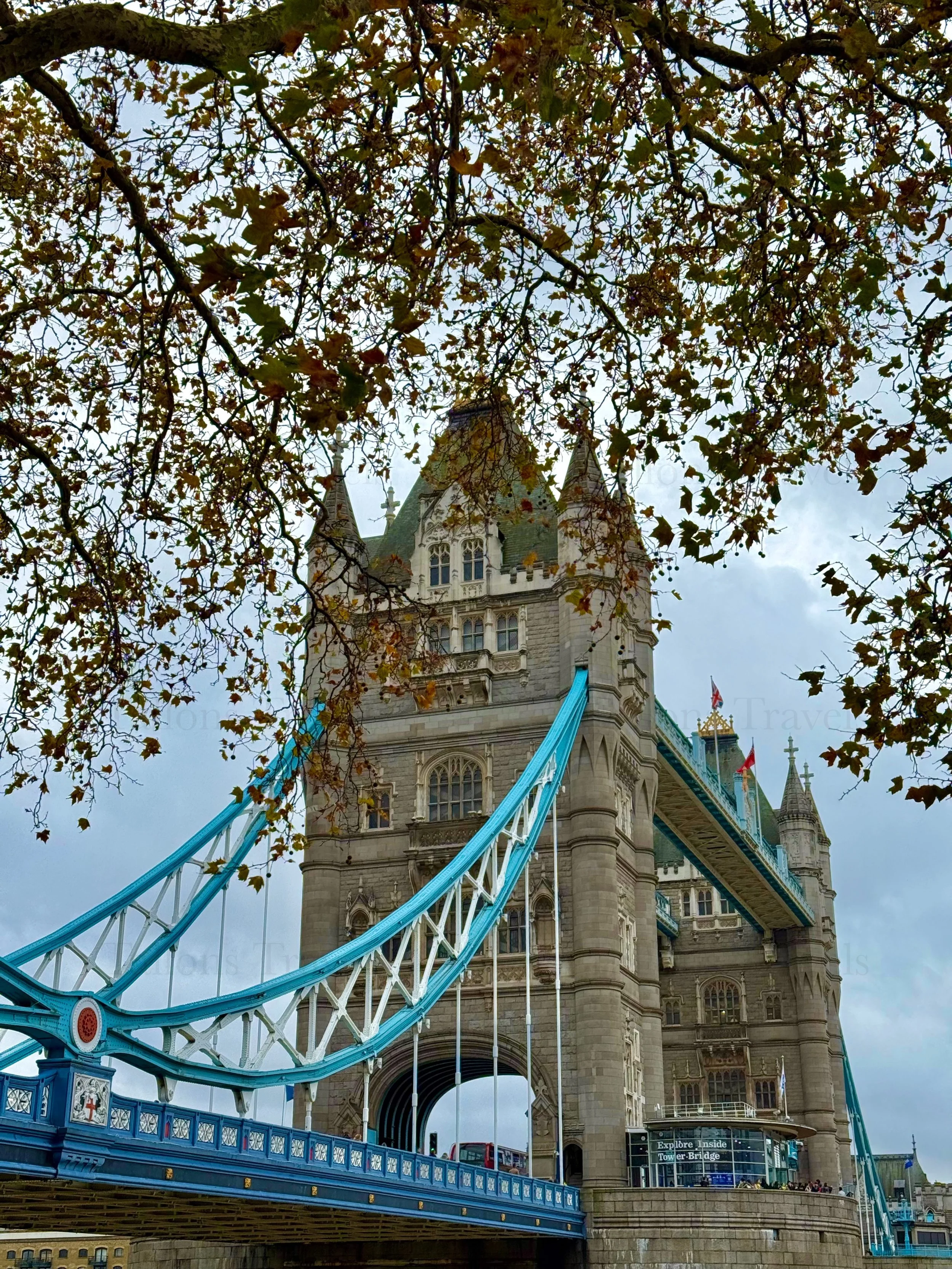 eZy Watermark_23-01-2026_01-43-11-1030PM.jpg